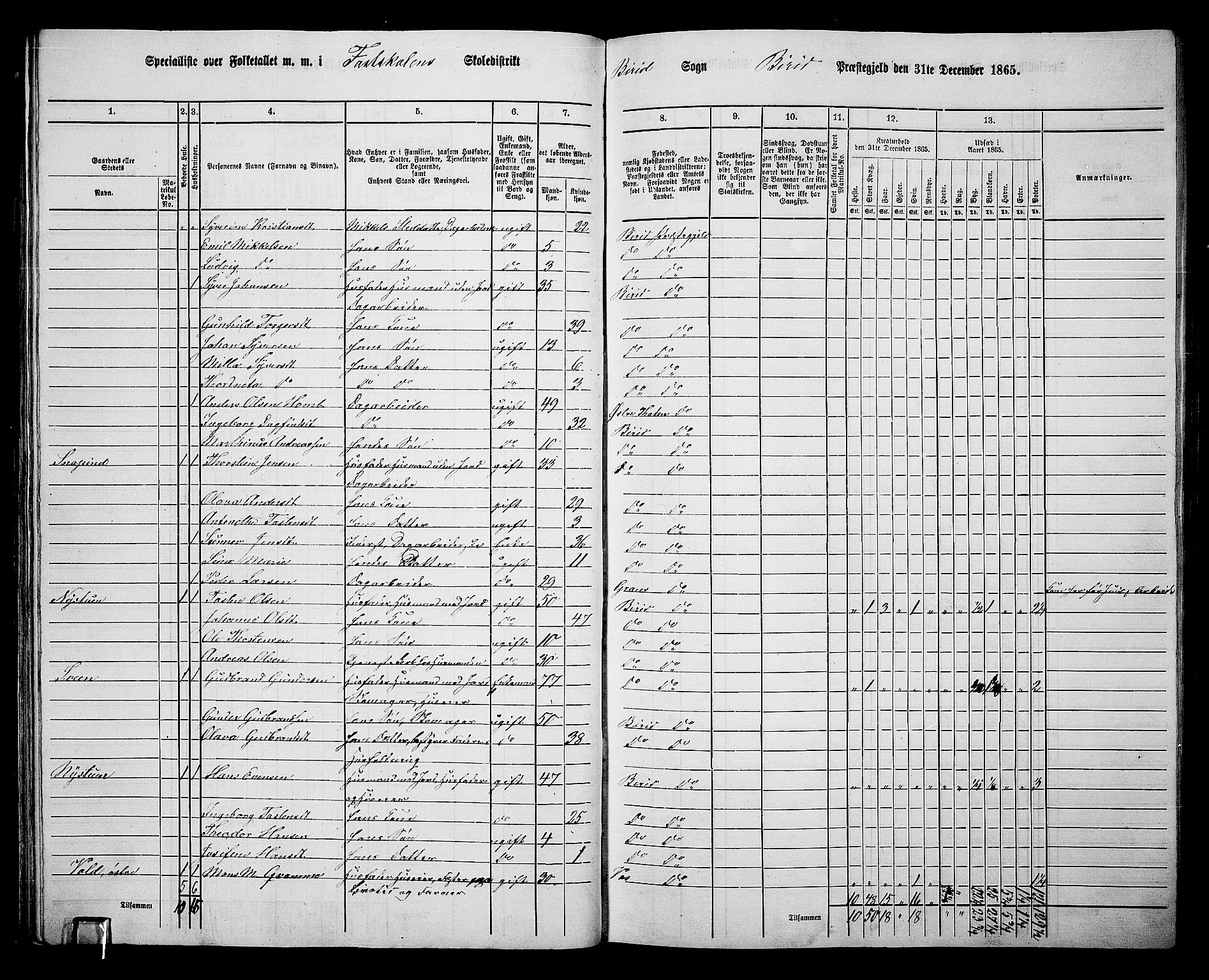 RA, 1865 census for Biri, 1865, p. 43