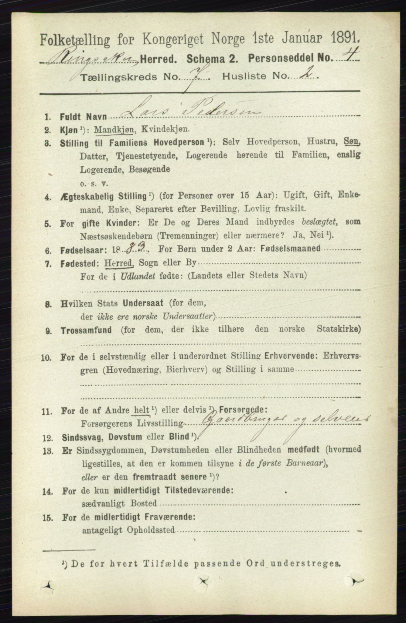 RA, 1891 census for 0412 Ringsaker, 1891, p. 3885