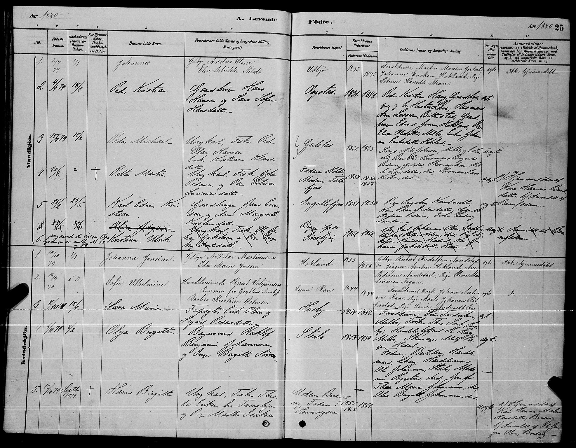 Ministerialprotokoller, klokkerbøker og fødselsregistre - Nordland, AV/SAT-A-1459/888/L1267: Parish register (copy) no. 888C05, 1878-1890, p. 25