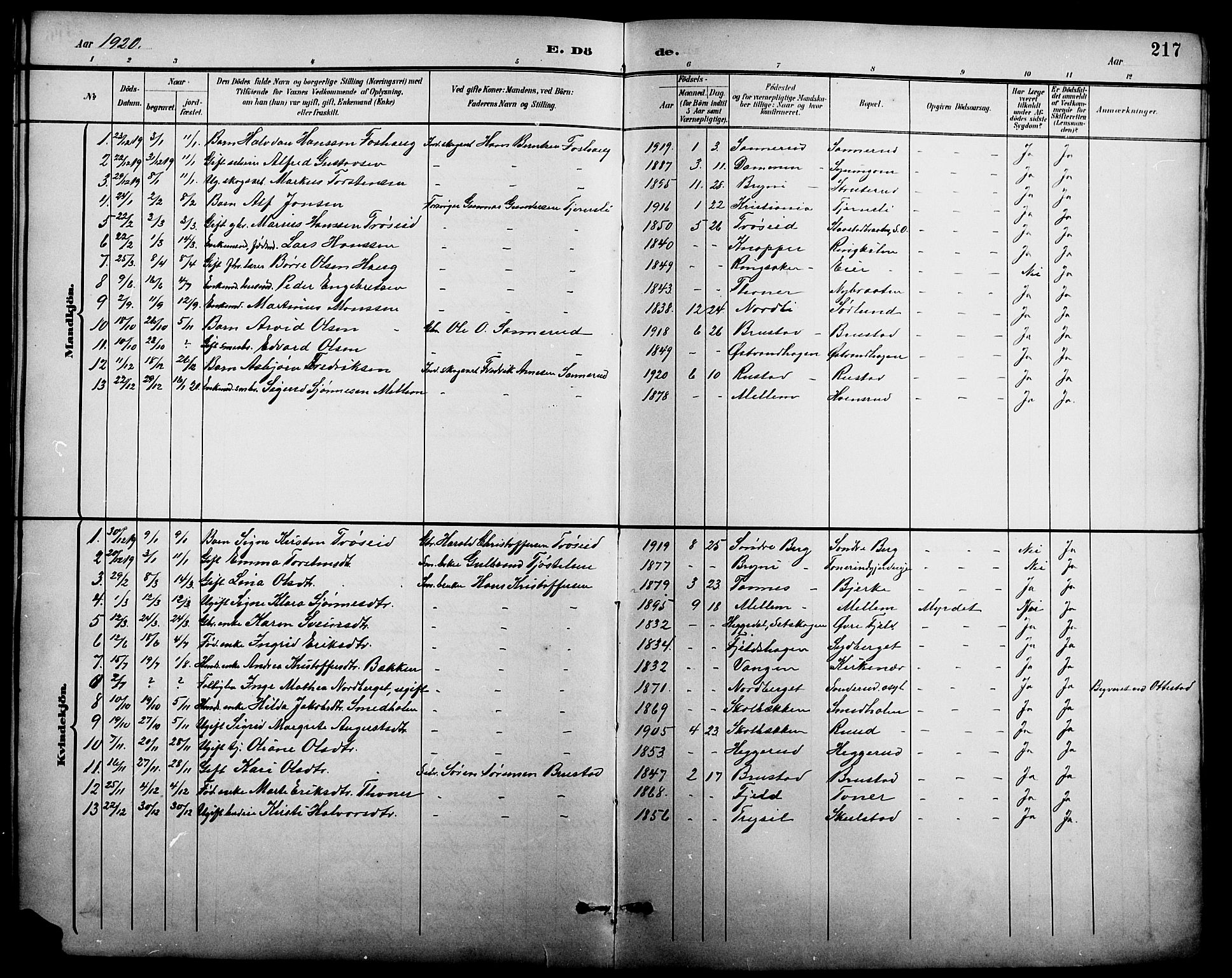 Nord-Odal prestekontor, AV/SAH-PREST-032/H/Ha/Hab/L0002: Parish register (copy) no. 2, 1895-1921, p. 217