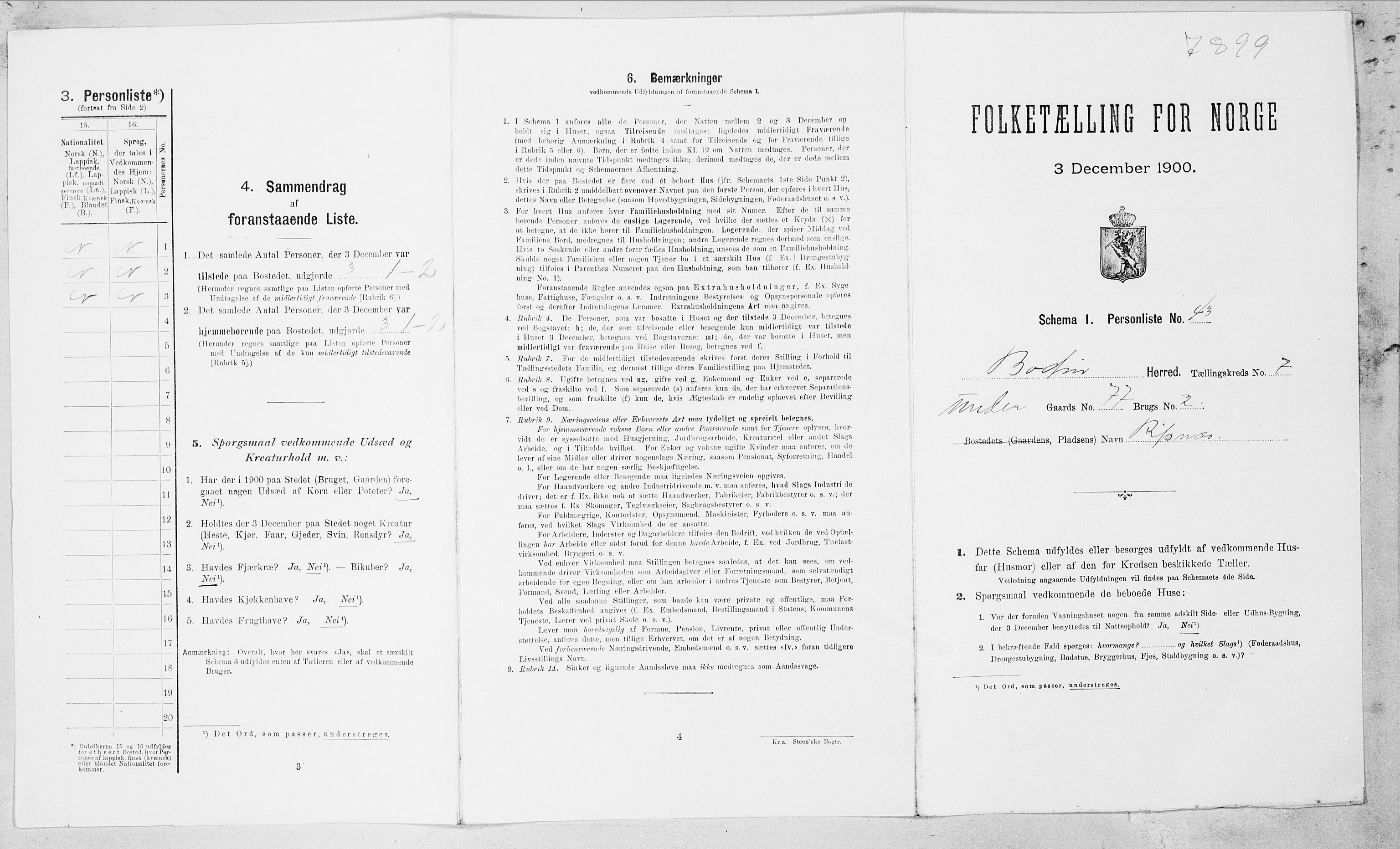 SAT, 1900 census for Bodin, 1900, p. 1100