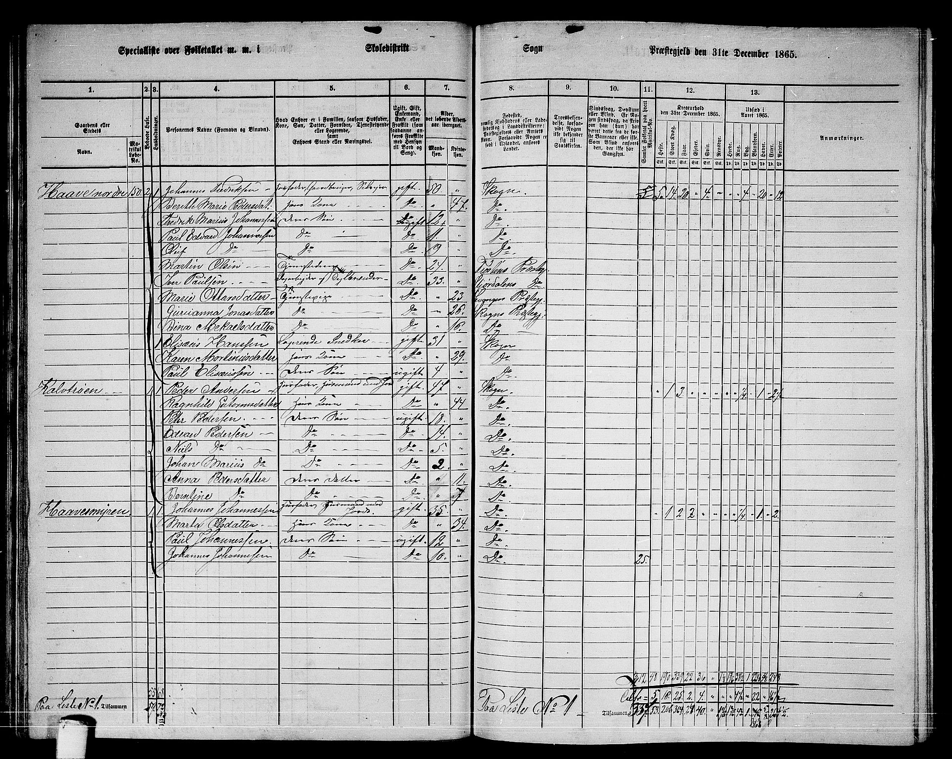 RA, 1865 census for Skogn, 1865, p. 60