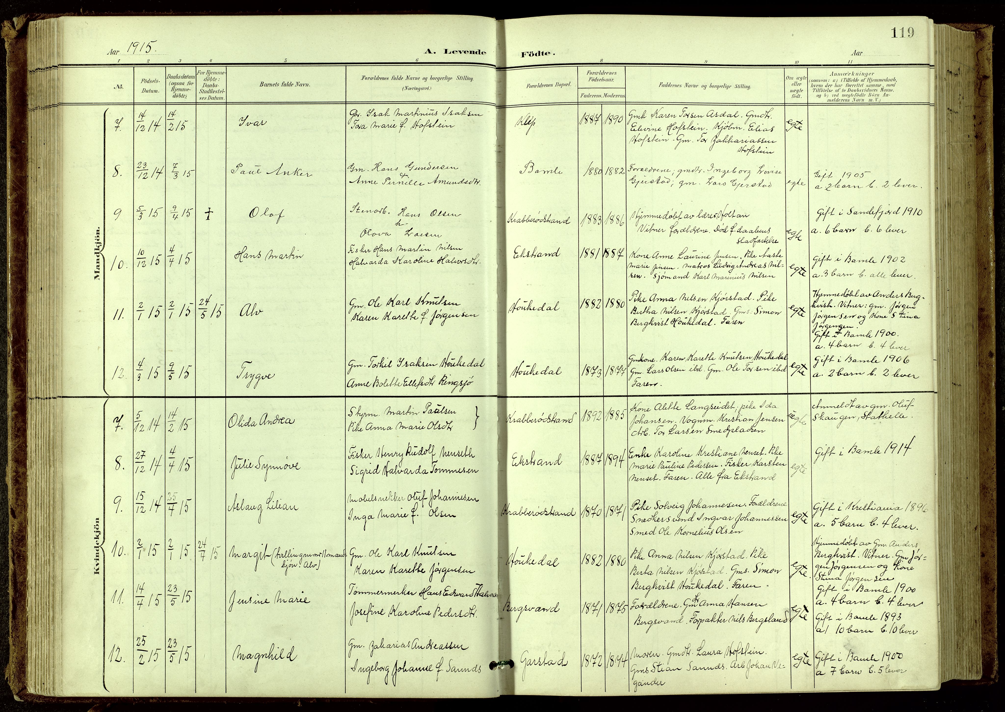Bamble kirkebøker, SAKO/A-253/G/Ga/L0010: Parish register (copy) no. I 10, 1901-1919, p. 119