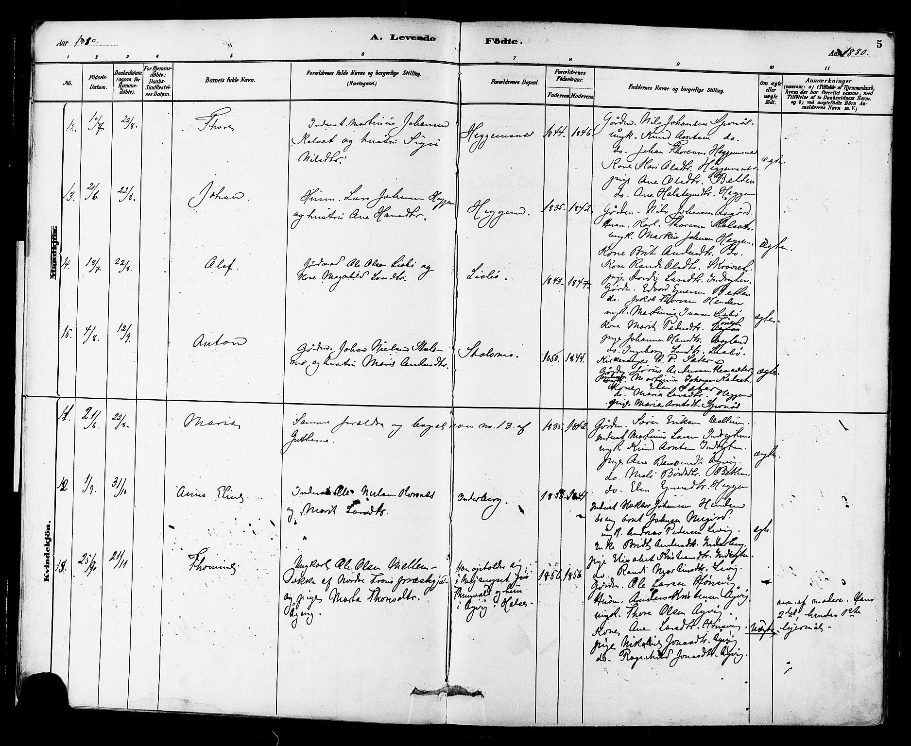 Ministerialprotokoller, klokkerbøker og fødselsregistre - Møre og Romsdal, AV/SAT-A-1454/576/L0885: Parish register (official) no. 576A03, 1880-1898, p. 5