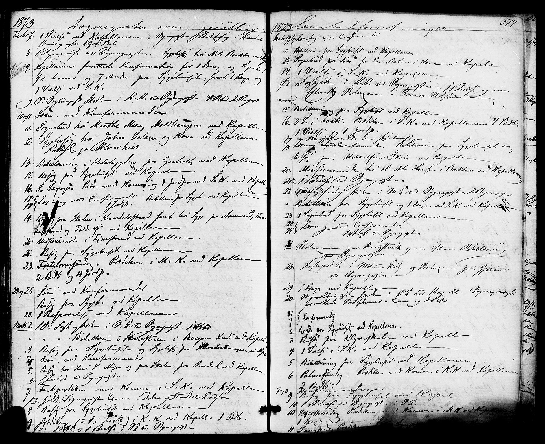 Solum kirkebøker, AV/SAKO-A-306/F/Fa/L0008: Parish register (official) no. I 8, 1865-1876, p. 517