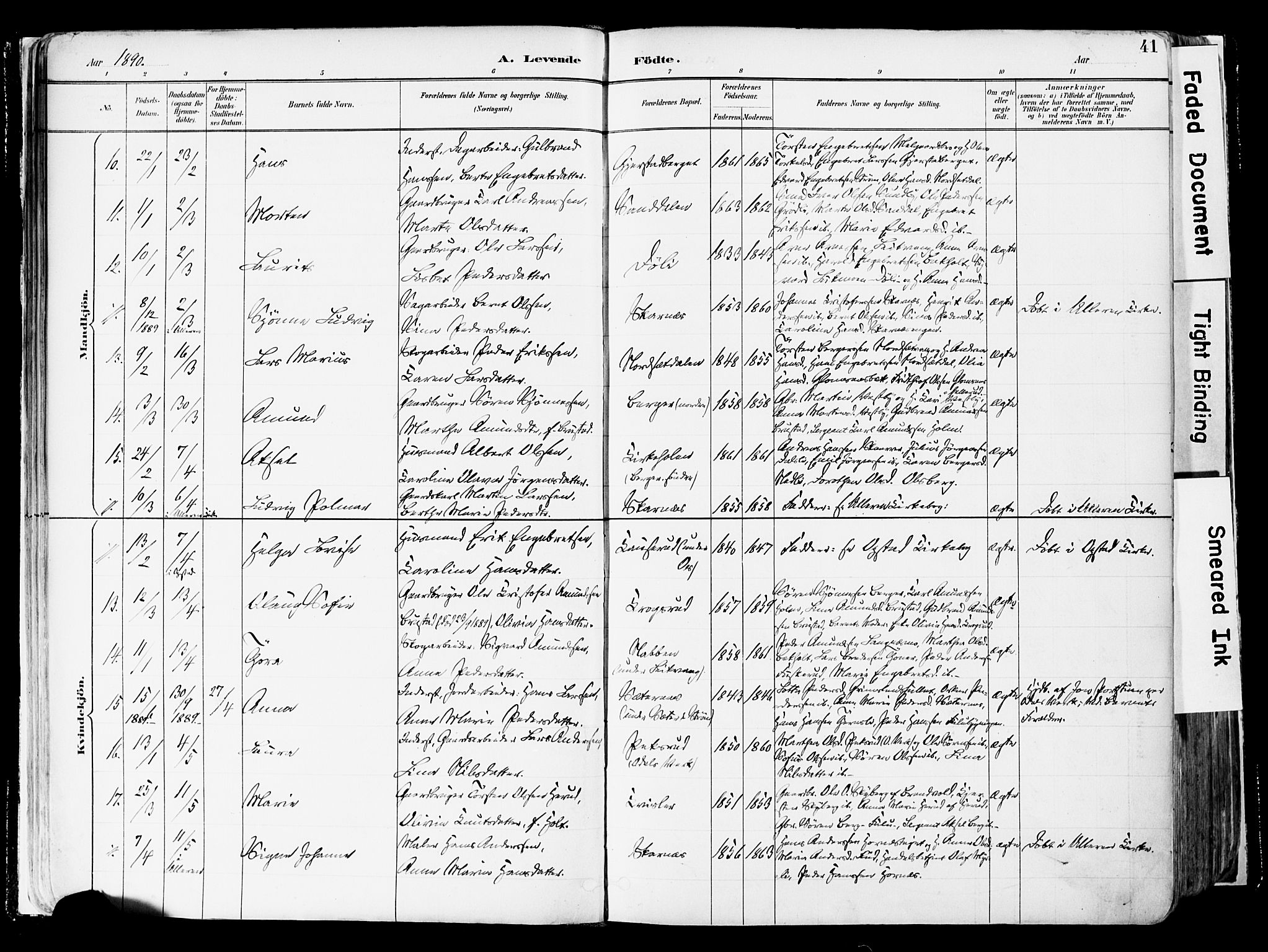 Sør-Odal prestekontor, AV/SAH-PREST-030/H/Ha/Haa/L0006: Parish register (official) no. 6, 1886-1931, p. 41