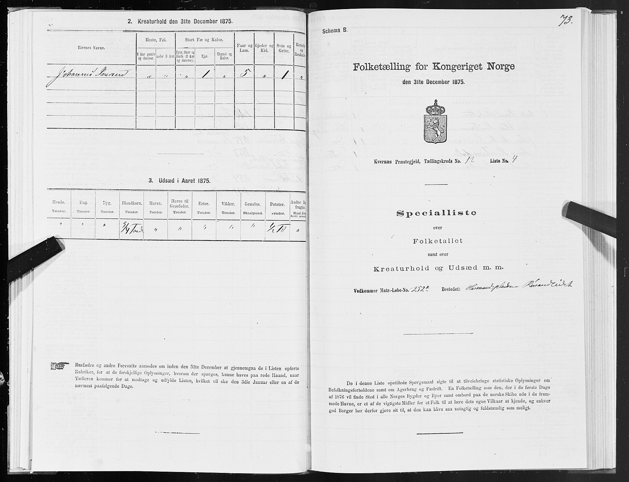 SAT, 1875 census for 1553P Kvernes, 1875, p. 6073