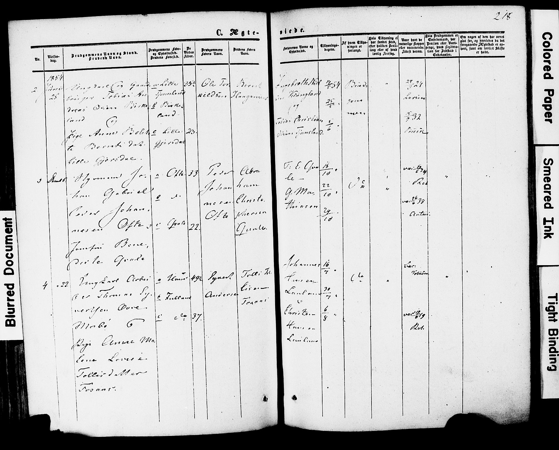 Herad sokneprestkontor, AV/SAK-1111-0018/F/Fa/Faa/L0005: Parish register (official) no. A 5, 1853-1886, p. 218