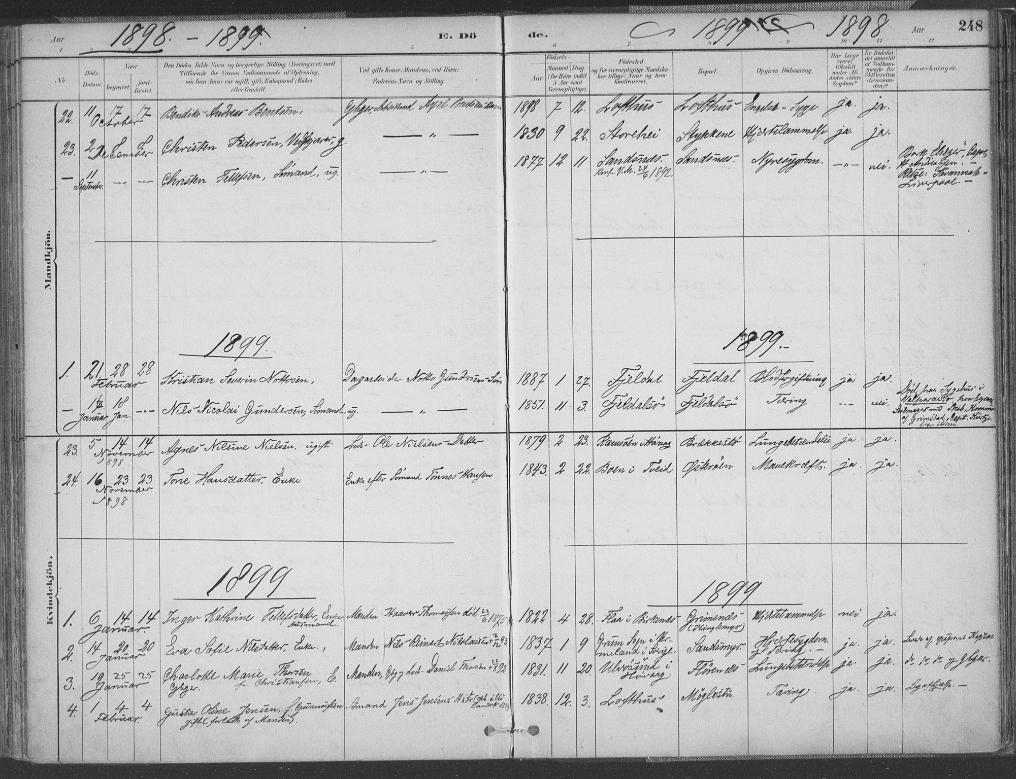 Vestre Moland sokneprestkontor, SAK/1111-0046/F/Fa/Fab/L0009: Parish register (official) no. A 9, 1884-1899, p. 248