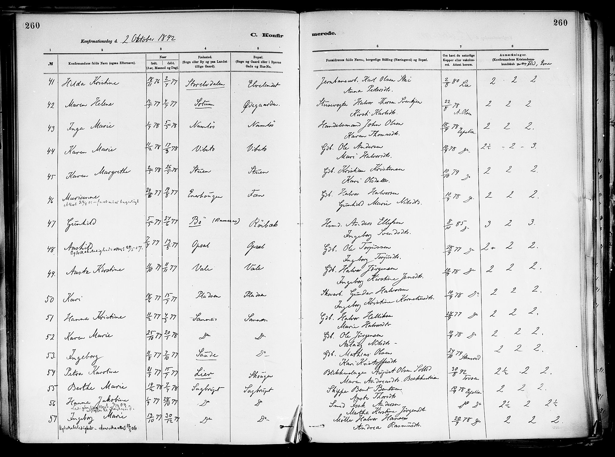 Holla kirkebøker, SAKO/A-272/F/Fa/L0008: Parish register (official) no. 8, 1882-1897, p. 260