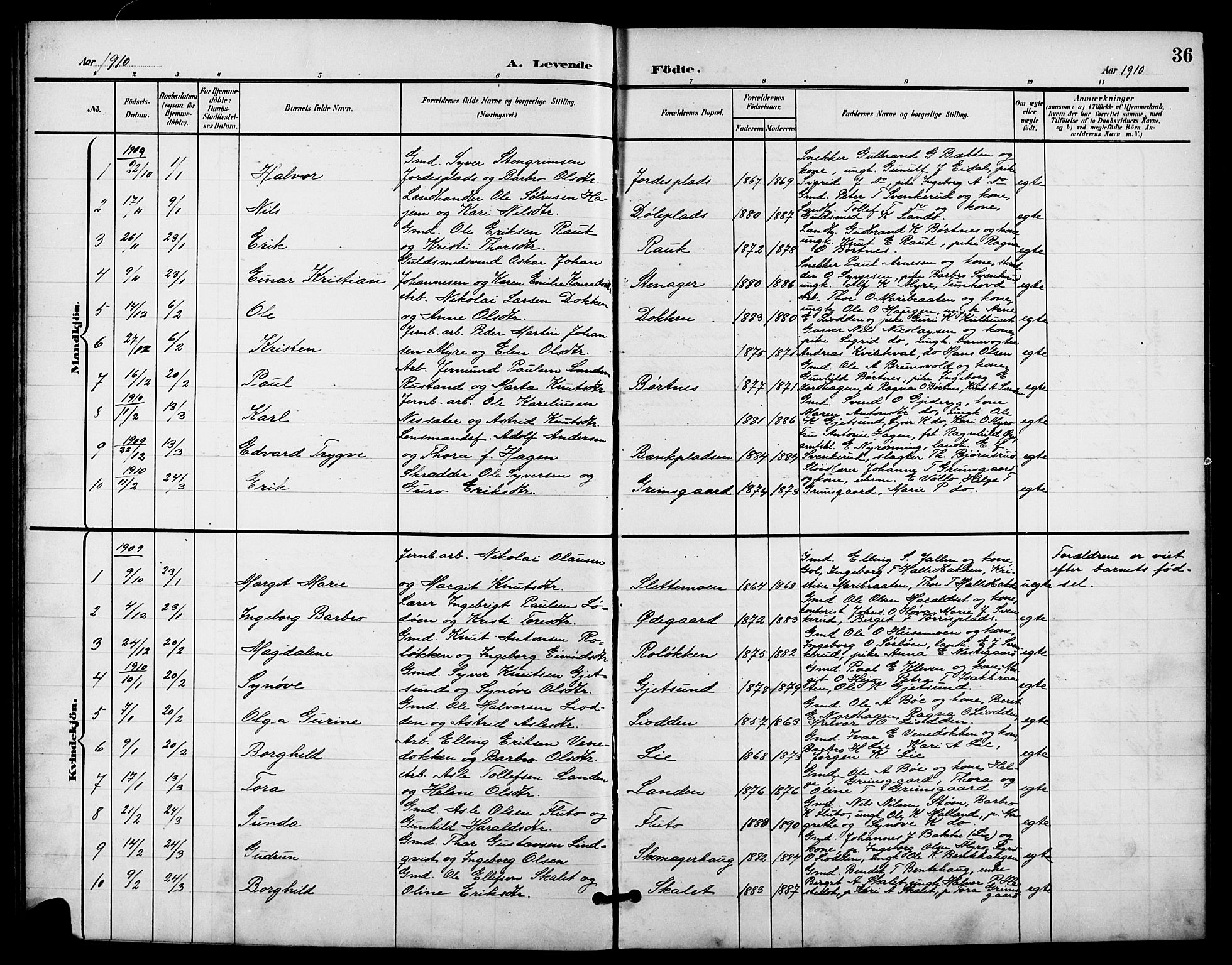 Nes kirkebøker, SAKO/A-236/G/Ga/L0004: Parish register (copy) no. I 4, 1900-1925, p. 36