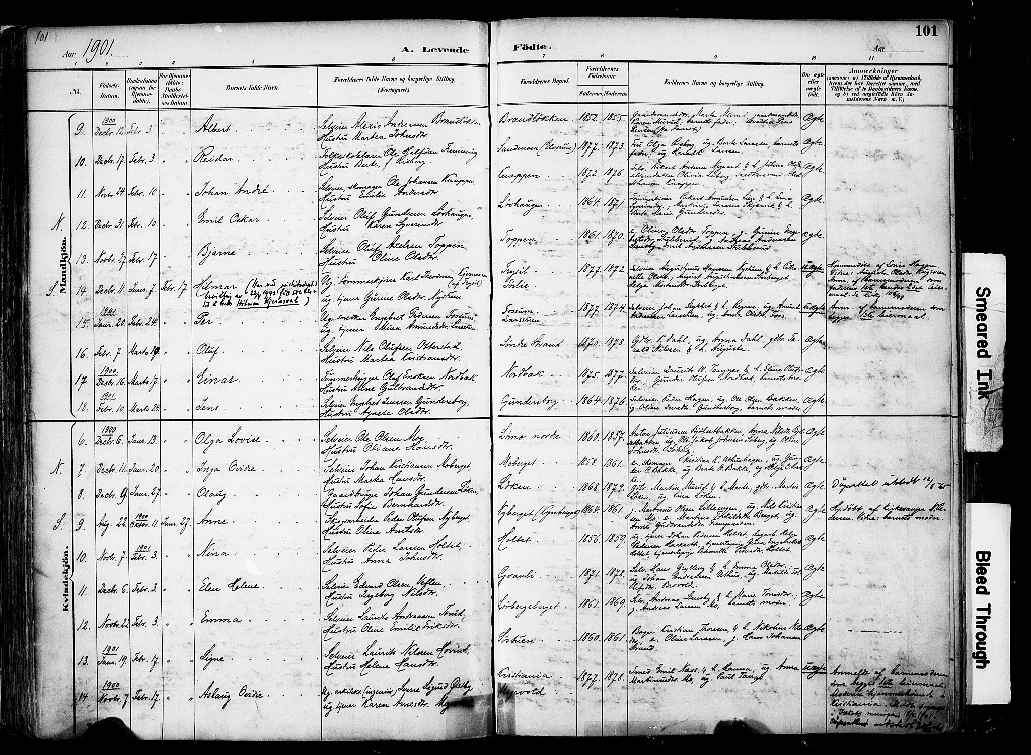 Elverum prestekontor, SAH/PREST-044/H/Ha/Haa/L0014: Parish register (official) no. 14, 1891-1909, p. 101