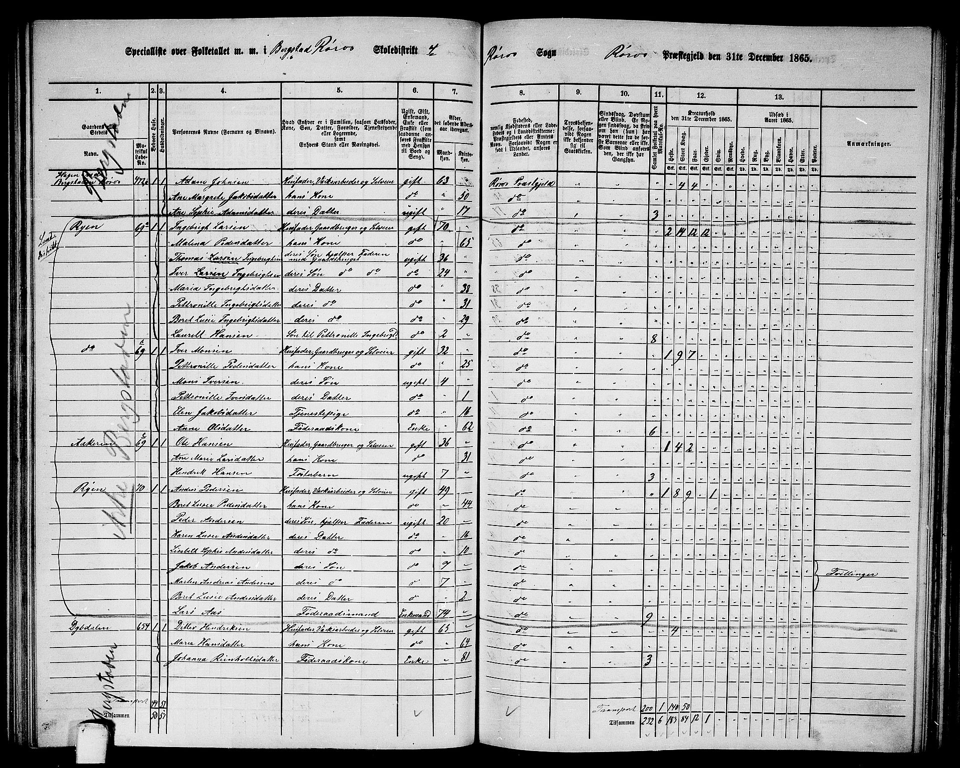 RA, 1865 census for Røros, 1865, p. 81