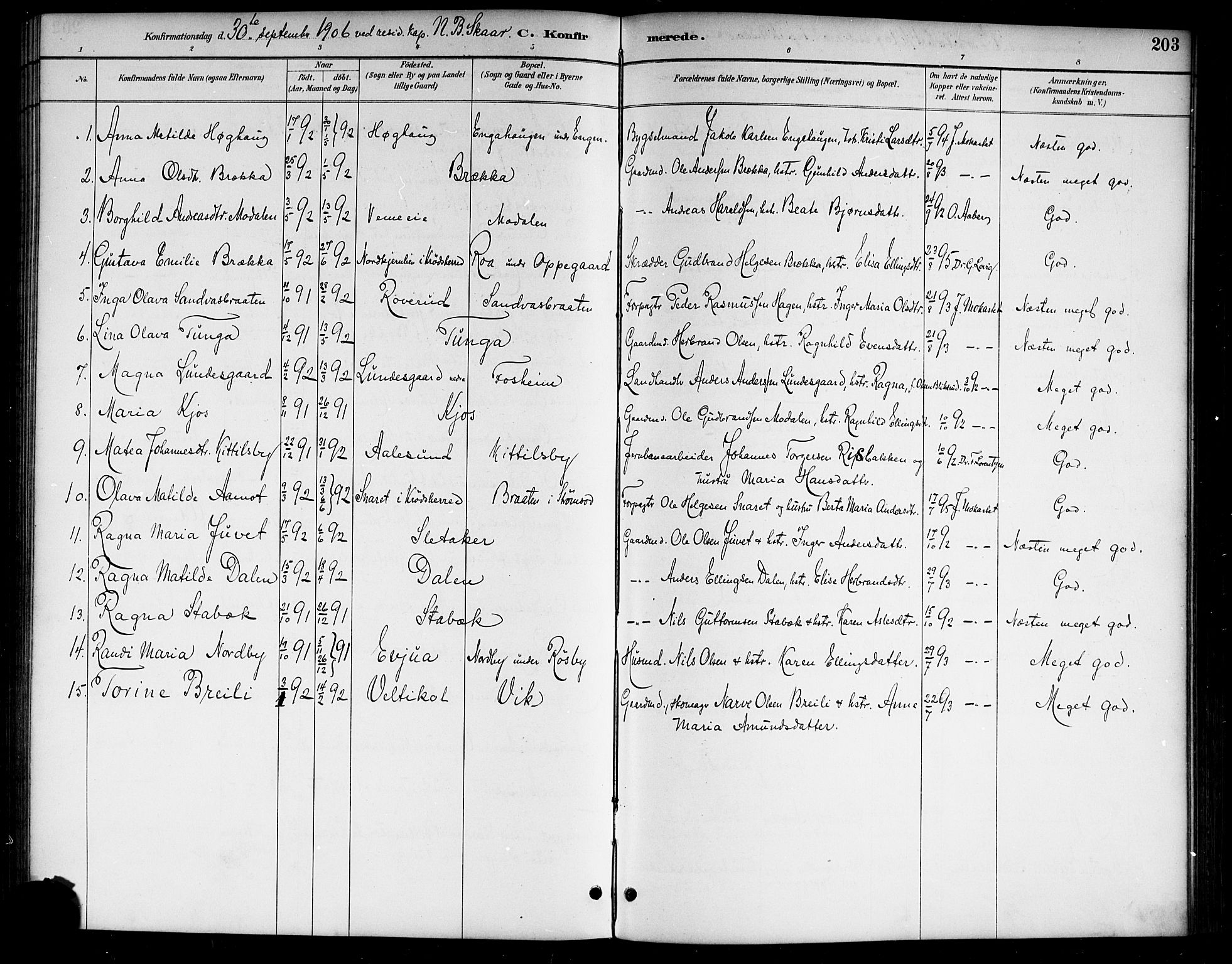 Lunder kirkebøker, AV/SAKO-A-629/G/Ga/L0004: Parish register (copy) no. I 4, 1889-1917, p. 203