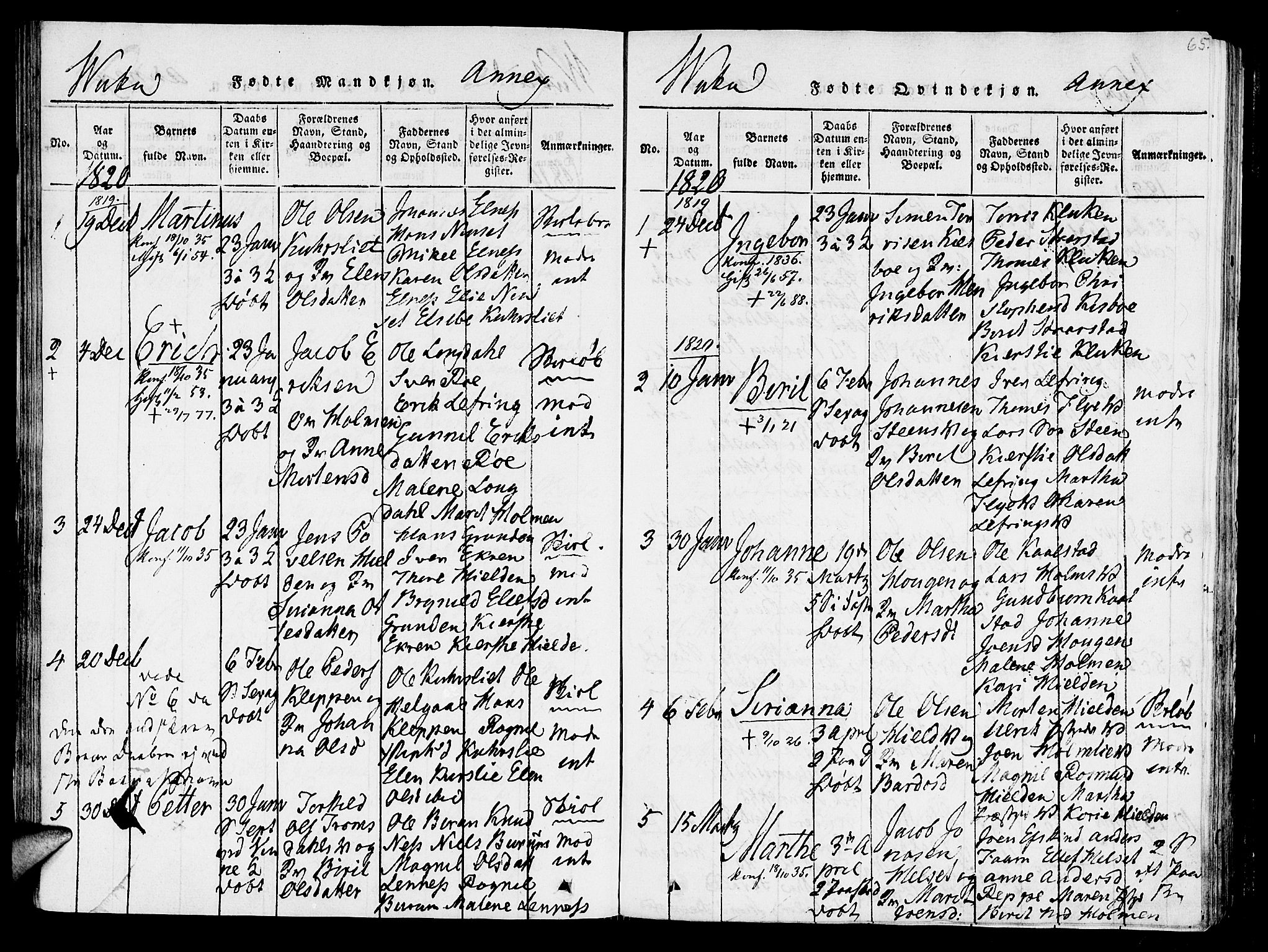 Ministerialprotokoller, klokkerbøker og fødselsregistre - Nord-Trøndelag, AV/SAT-A-1458/723/L0234: Parish register (official) no. 723A05 /2, 1816-1821, p. 65a