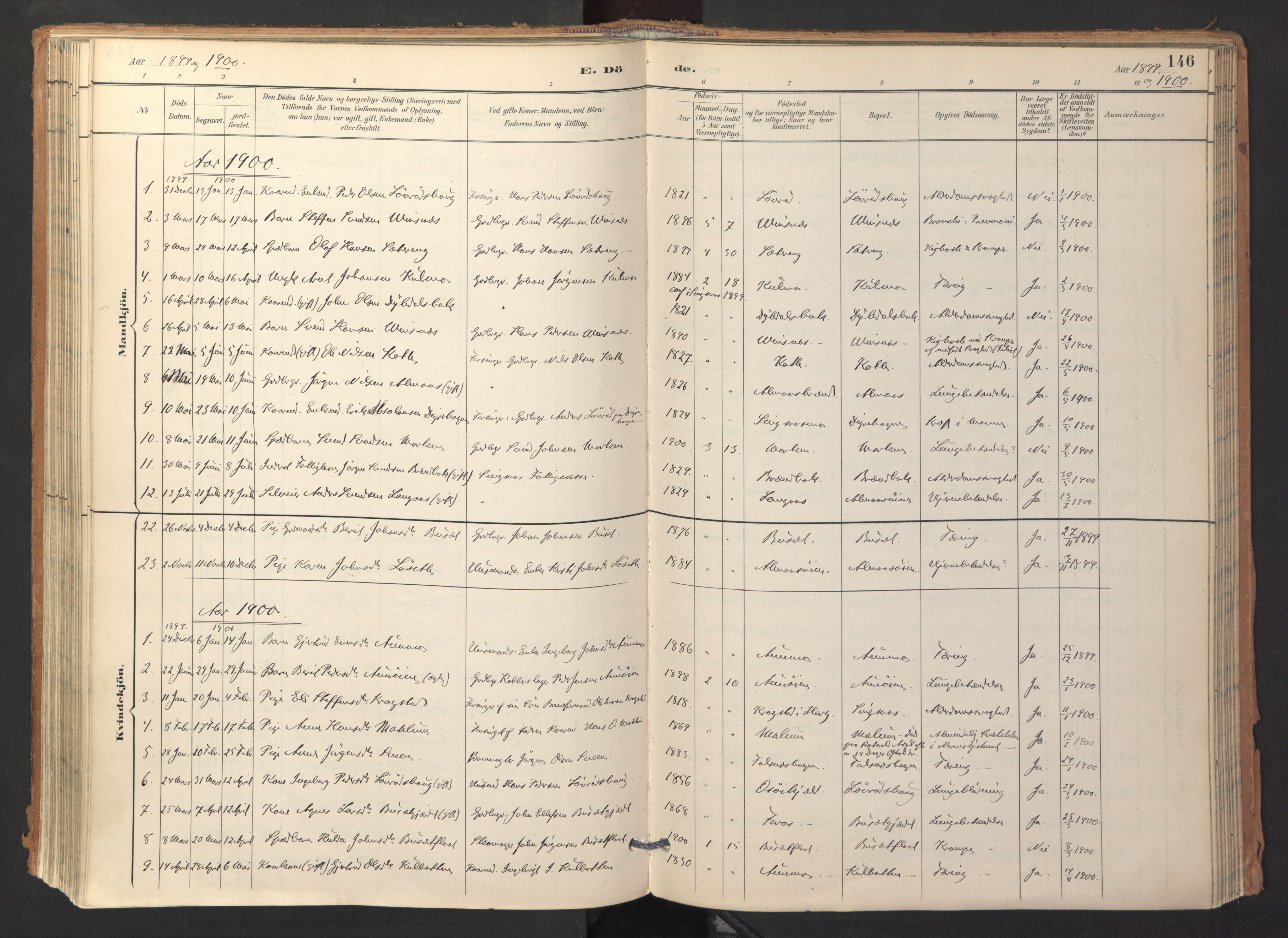 Ministerialprotokoller, klokkerbøker og fødselsregistre - Sør-Trøndelag, SAT/A-1456/688/L1025: Parish register (official) no. 688A02, 1891-1909, p. 146