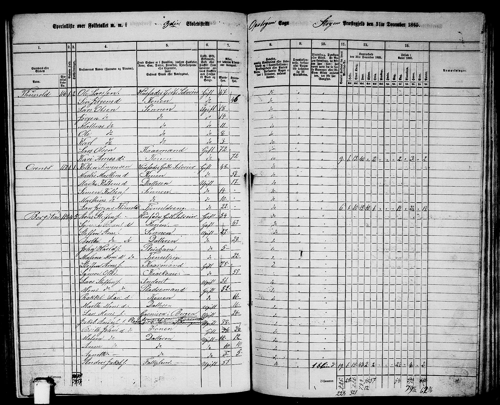 RA, 1865 census for Stryn, 1865, p. 13