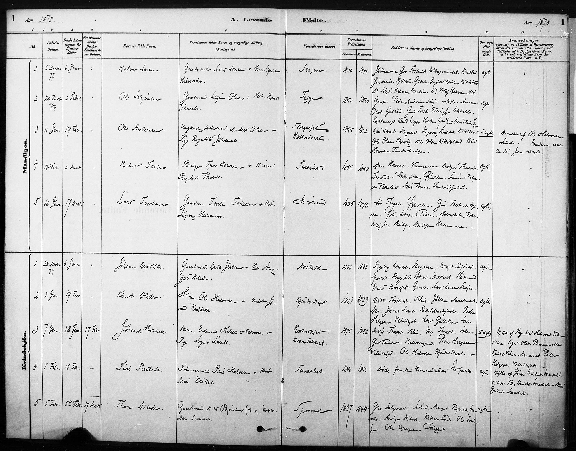 Nore kirkebøker, AV/SAKO-A-238/F/Fb/L0001: Parish register (official) no. II 1, 1878-1886, p. 1