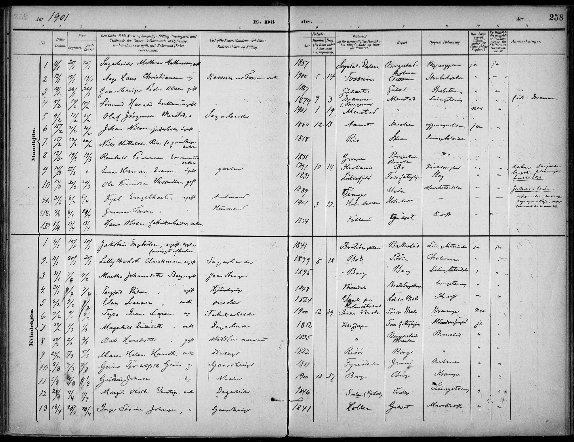Gjerpen kirkebøker, SAKO/A-265/F/Fa/L0011: Parish register (official) no. I 11, 1896-1904, p. 258
