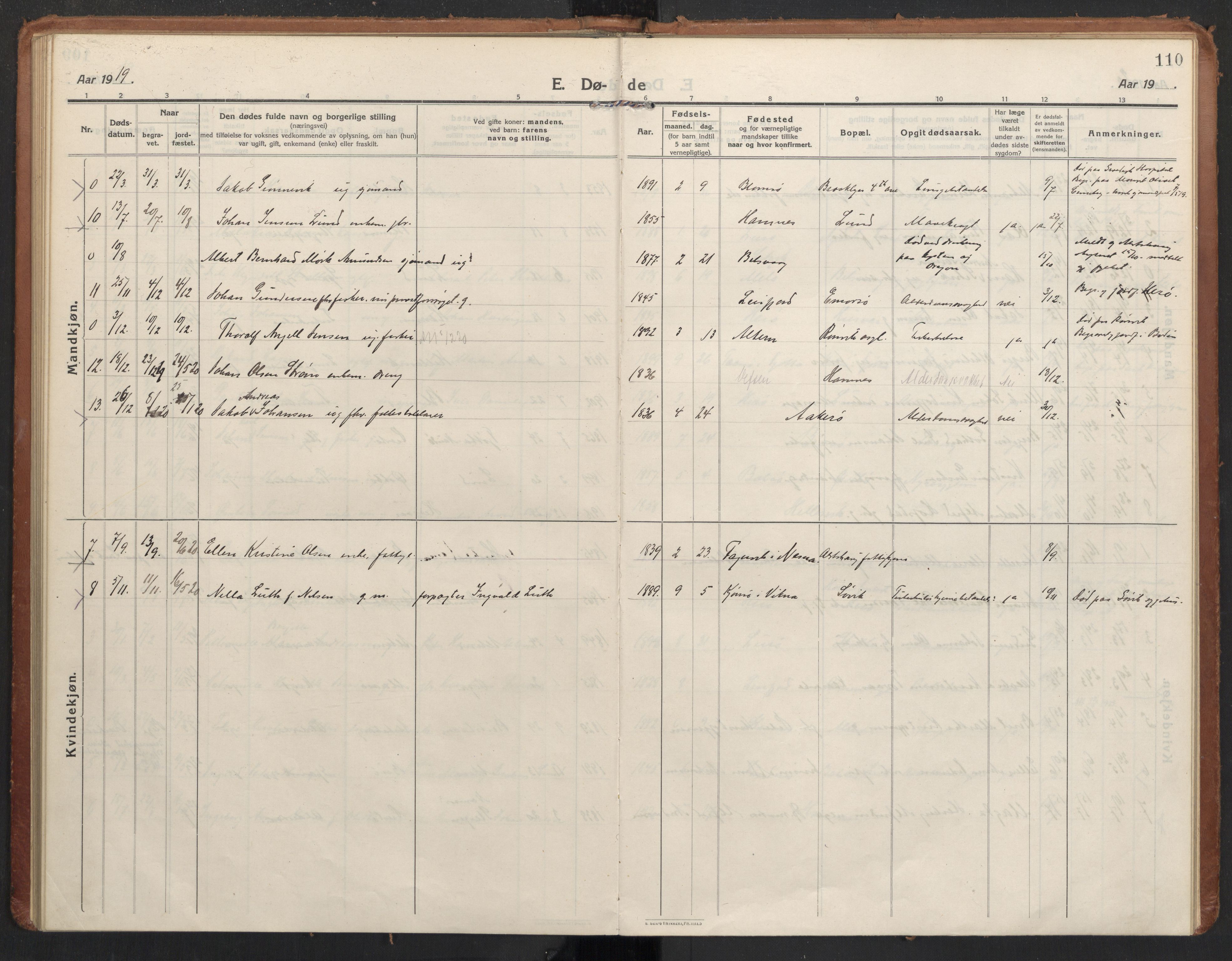 Ministerialprotokoller, klokkerbøker og fødselsregistre - Nordland, AV/SAT-A-1459/830/L0456: Parish register (official) no. 830A20, 1914-1937, p. 110