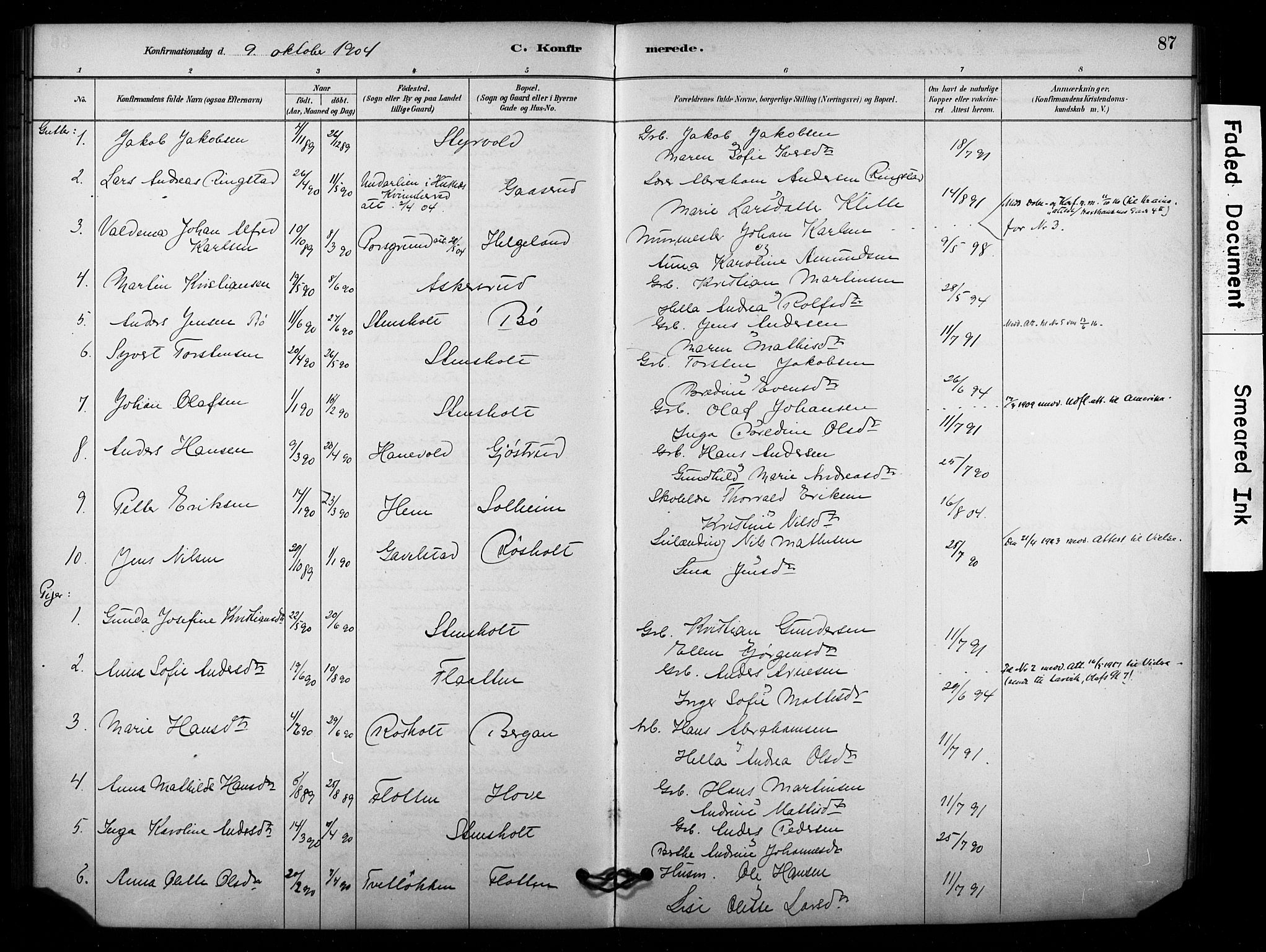 Lardal kirkebøker, SAKO/A-350/F/Fd/L0001: Parish register (official) no. IV 1, 1881-1907, p. 87