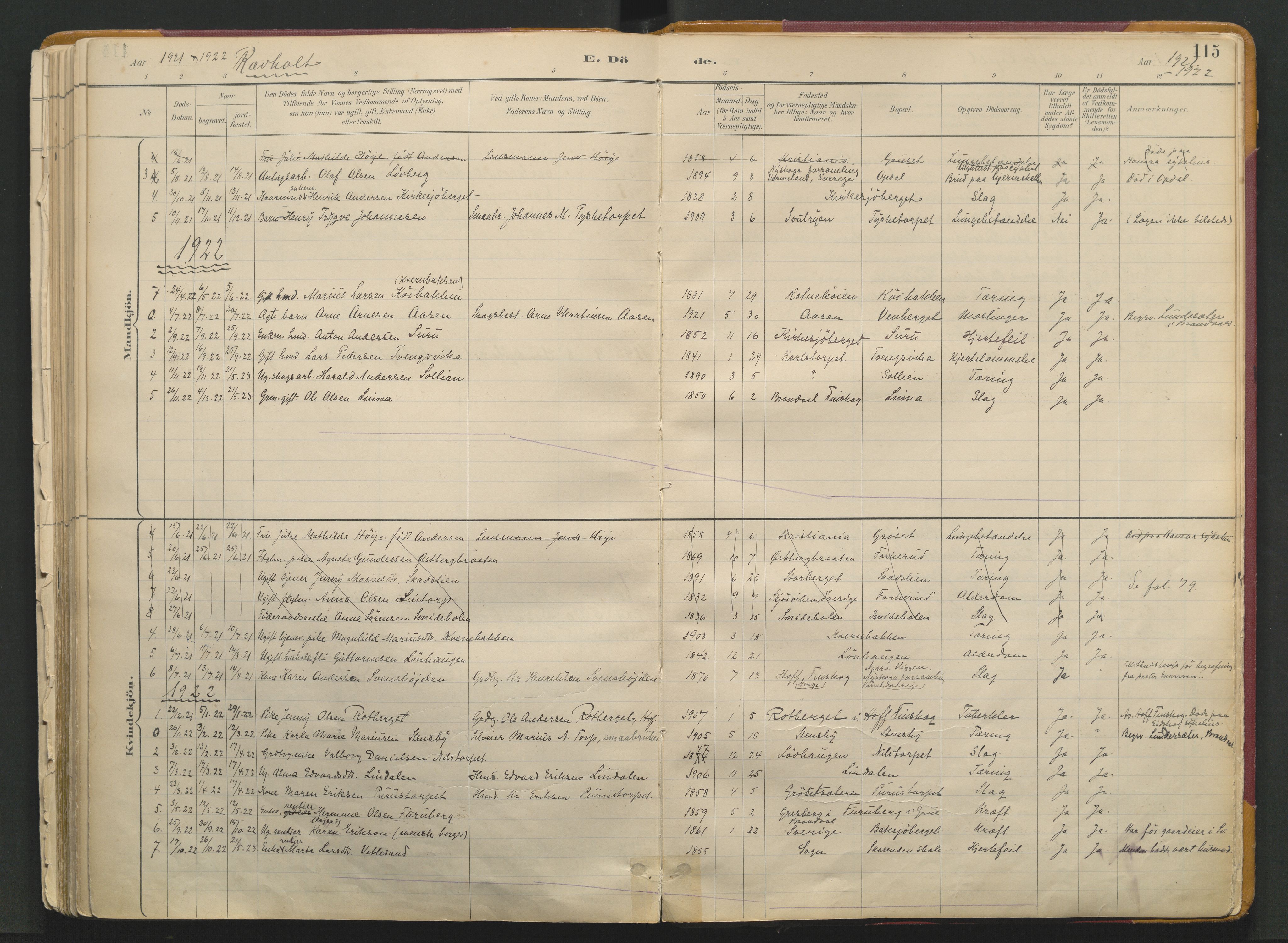Grue prestekontor, SAH/PREST-036/H/Ha/Haa/L0017: Parish register (official) no. 17, 1892-1936, p. 115