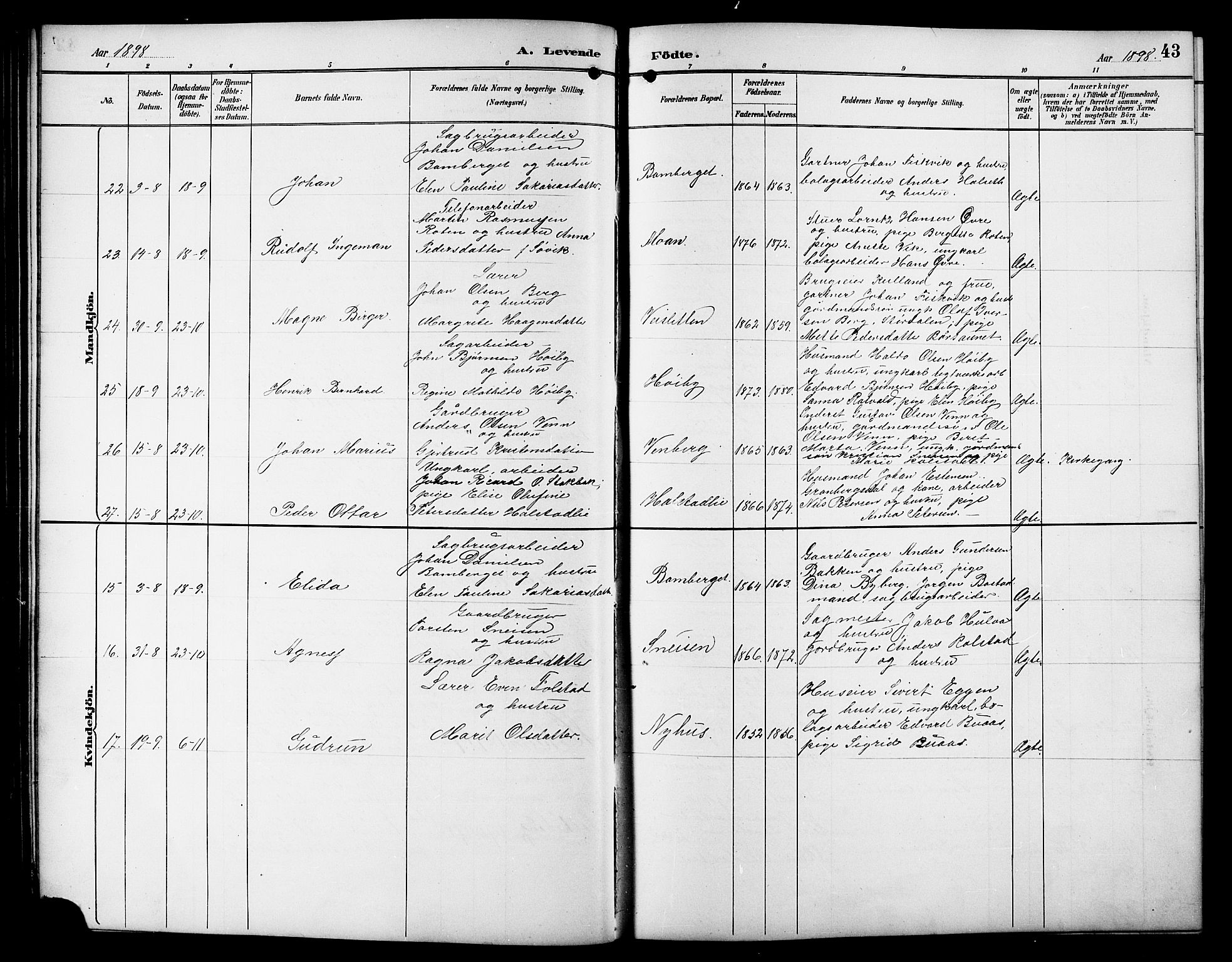 Ministerialprotokoller, klokkerbøker og fødselsregistre - Sør-Trøndelag, AV/SAT-A-1456/617/L0431: Parish register (copy) no. 617C01, 1889-1910, p. 43