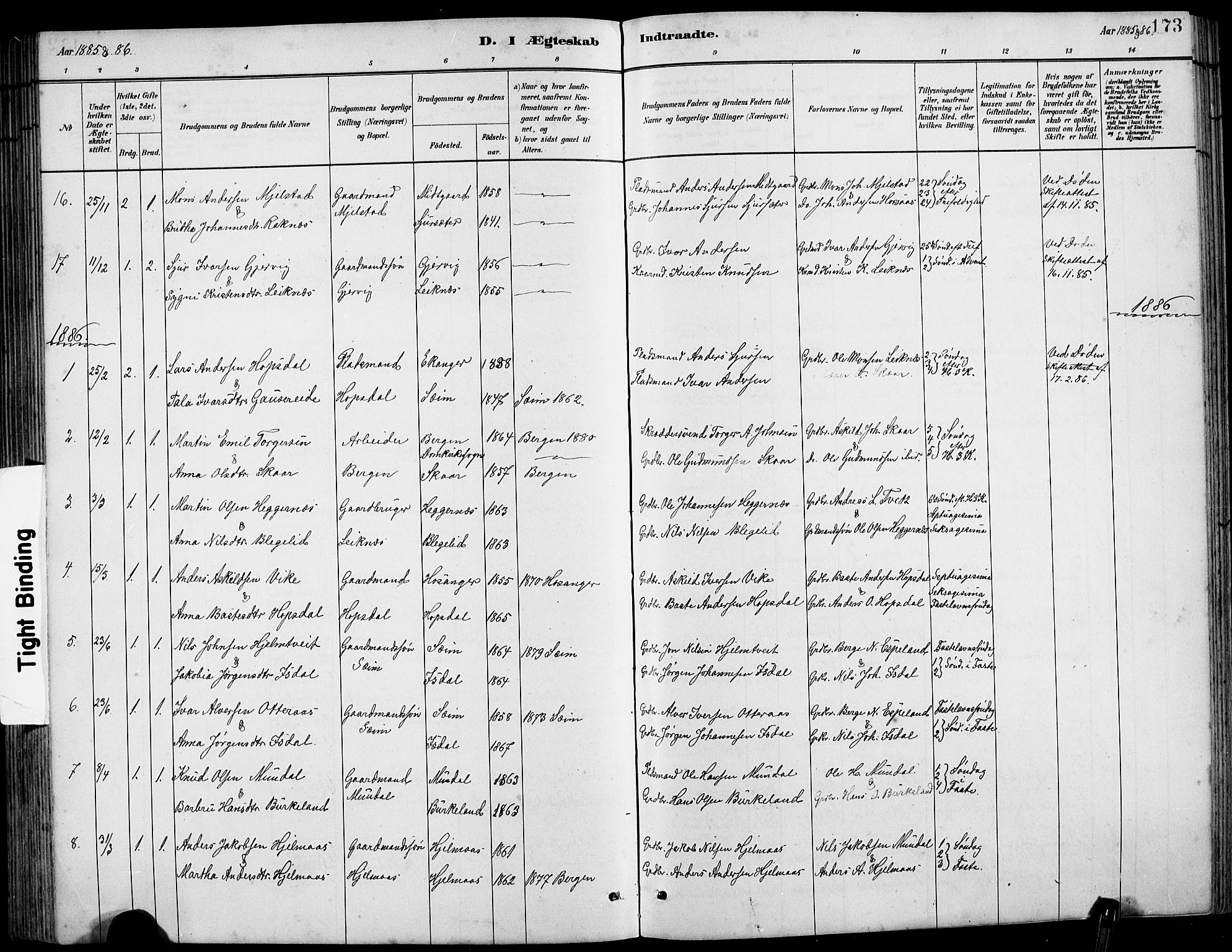 Hamre sokneprestembete, SAB/A-75501/H/Ha/Hab: Parish register (copy) no. B 3, 1881-1898, p. 173
