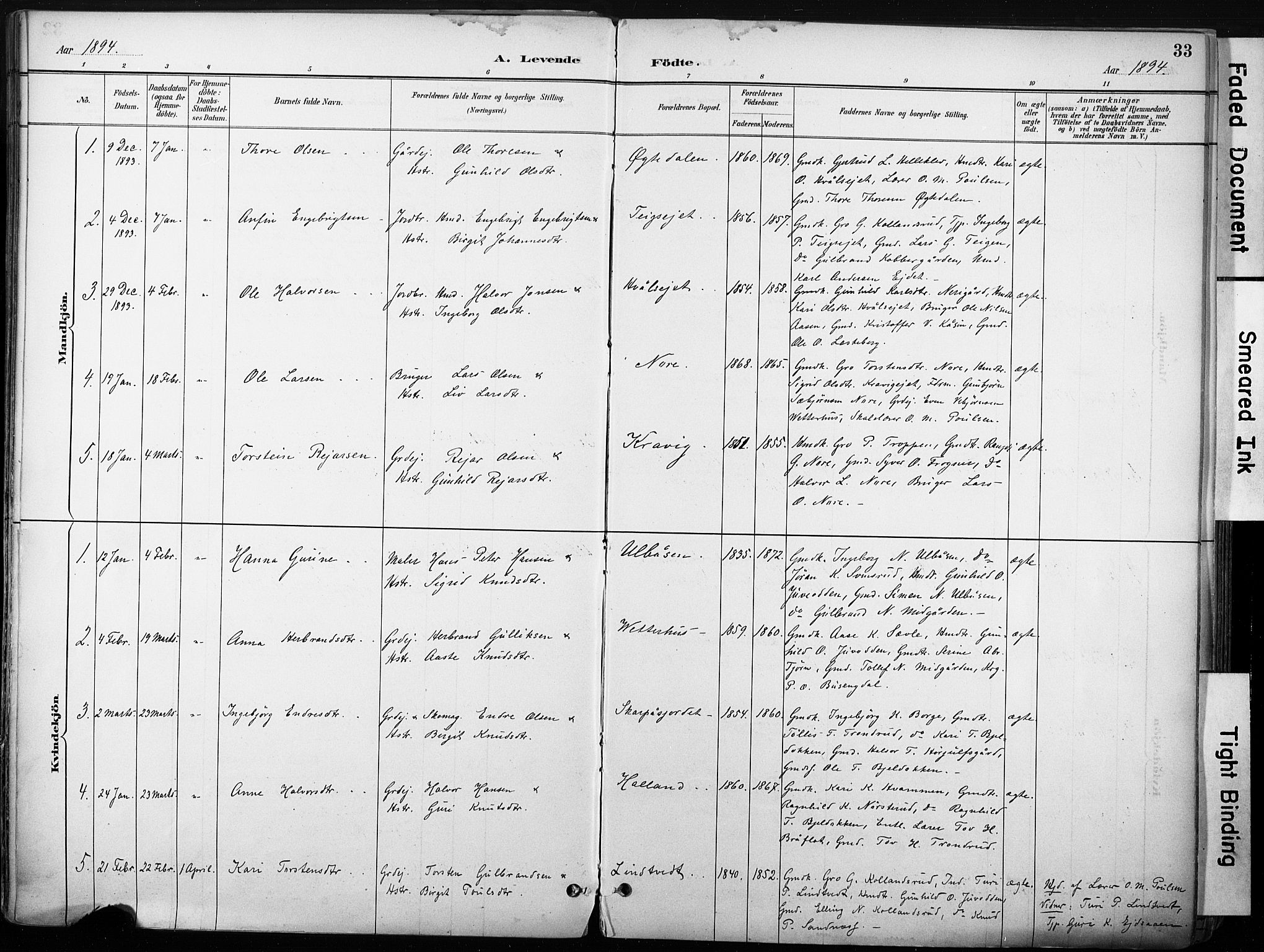 Nore kirkebøker, AV/SAKO-A-238/F/Fb/L0002: Parish register (official) no. II 2, 1886-1906, p. 33