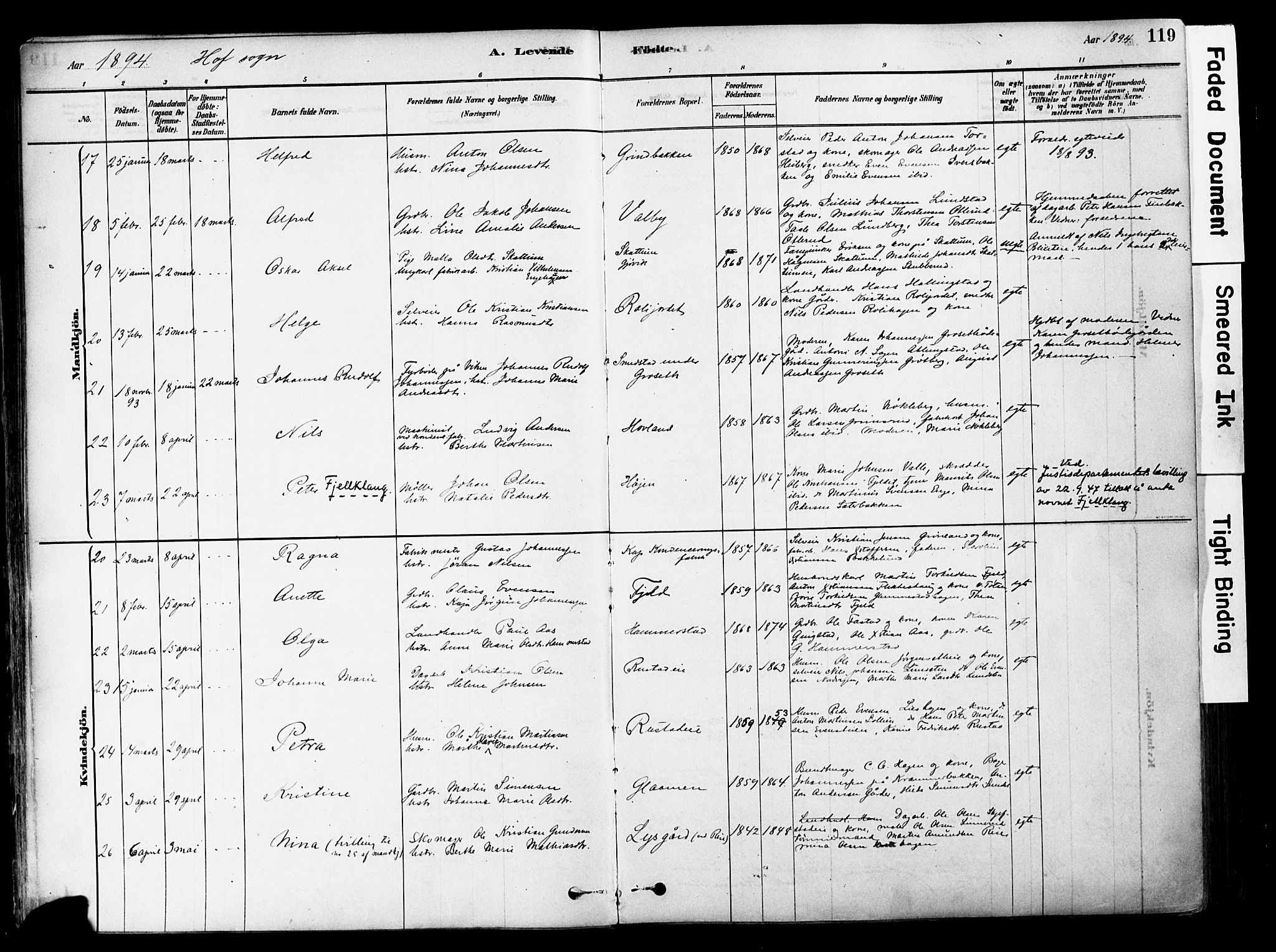 Østre Toten prestekontor, AV/SAH-PREST-104/H/Ha/Haa/L0006: Parish register (official) no. 6 /1, 1878-1896, p. 119