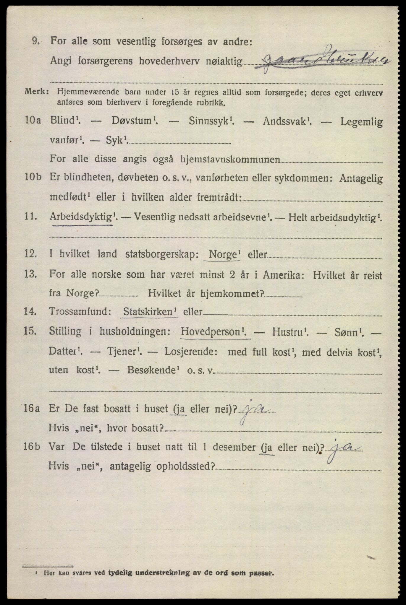 SAKO, 1920 census for Hemsedal, 1920, p. 689