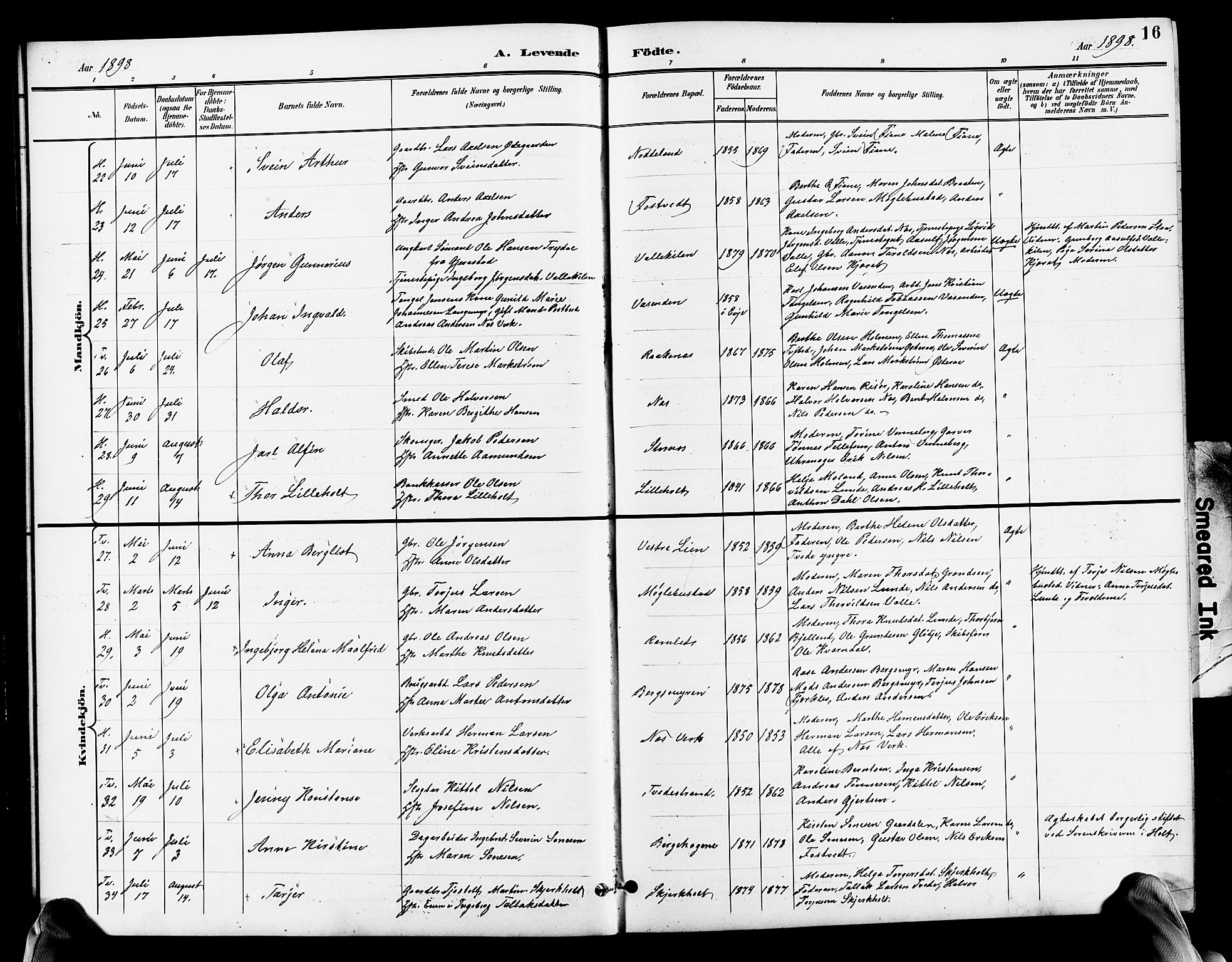 Holt sokneprestkontor, AV/SAK-1111-0021/F/Fb/L0011: Parish register (copy) no. B 11, 1897-1921, p. 16