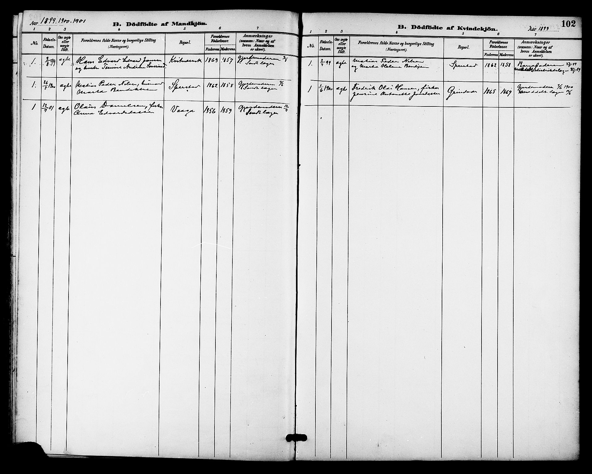 Ministerialprotokoller, klokkerbøker og fødselsregistre - Nordland, AV/SAT-A-1459/841/L0610: Parish register (official) no. 841A14, 1890-1901, p. 102