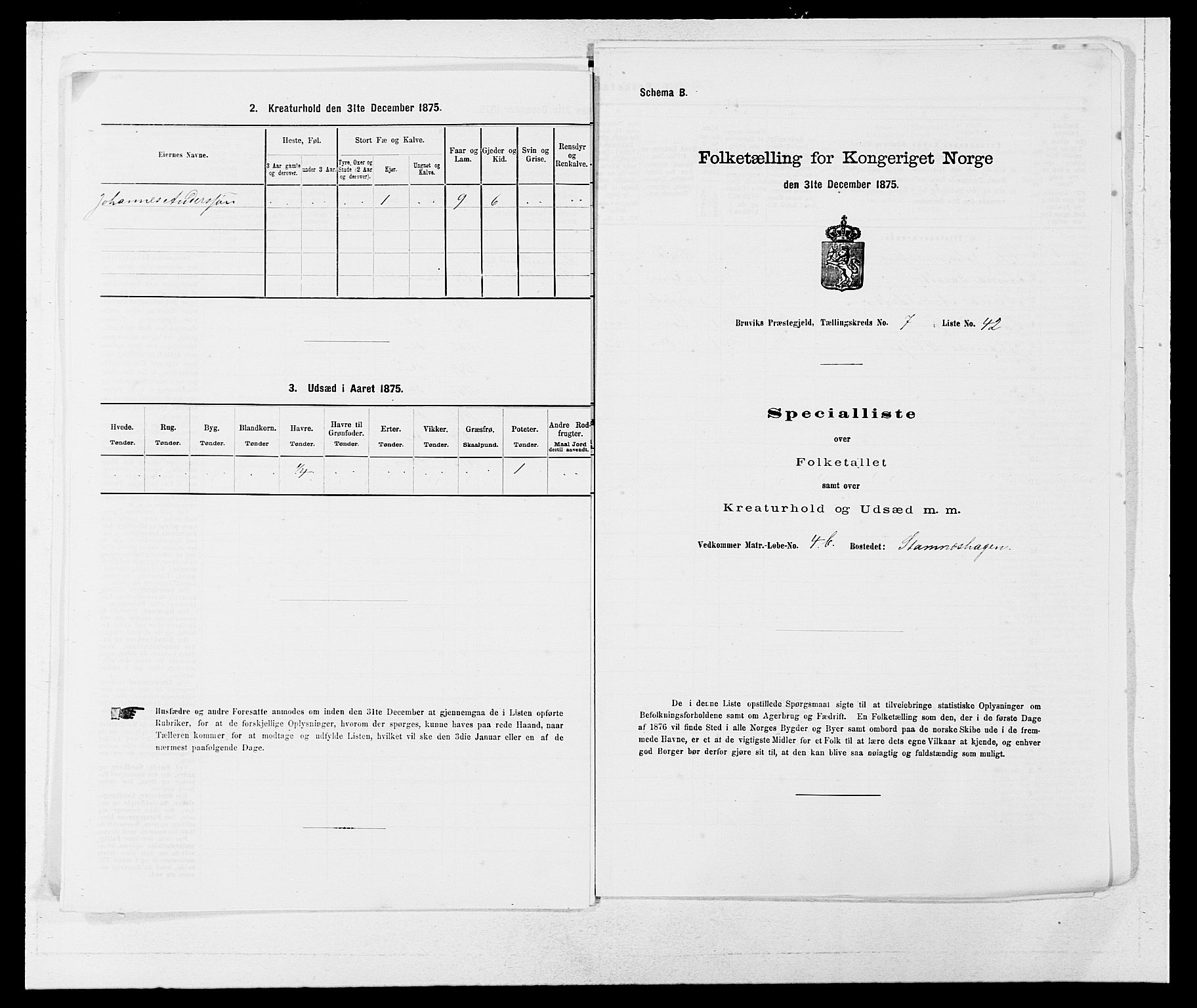 SAB, 1875 census for 1251P Bruvik, 1875, p. 573