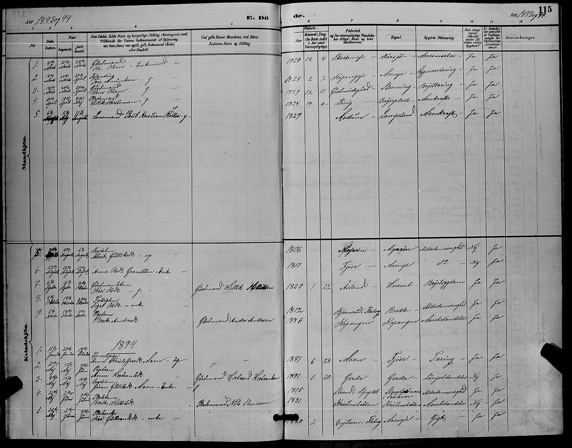 Flesberg kirkebøker, SAKO/A-18/G/Ga/L0004: Parish register (copy) no. I 4 /2, 1890-1898, p. 115