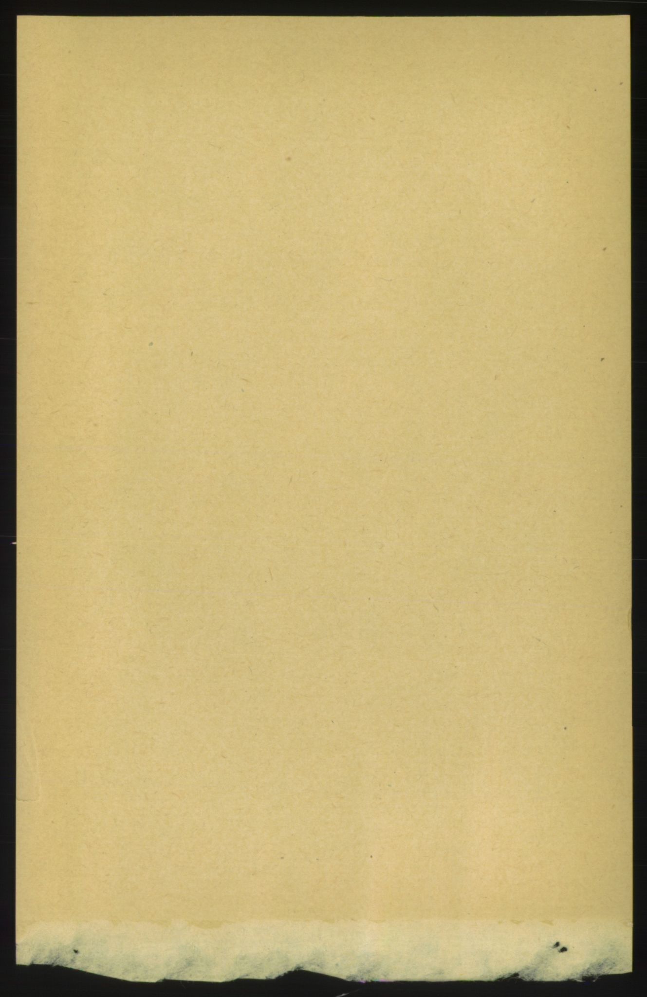 RA, 1891 census for 1660 Strinda, 1891, p. 8056