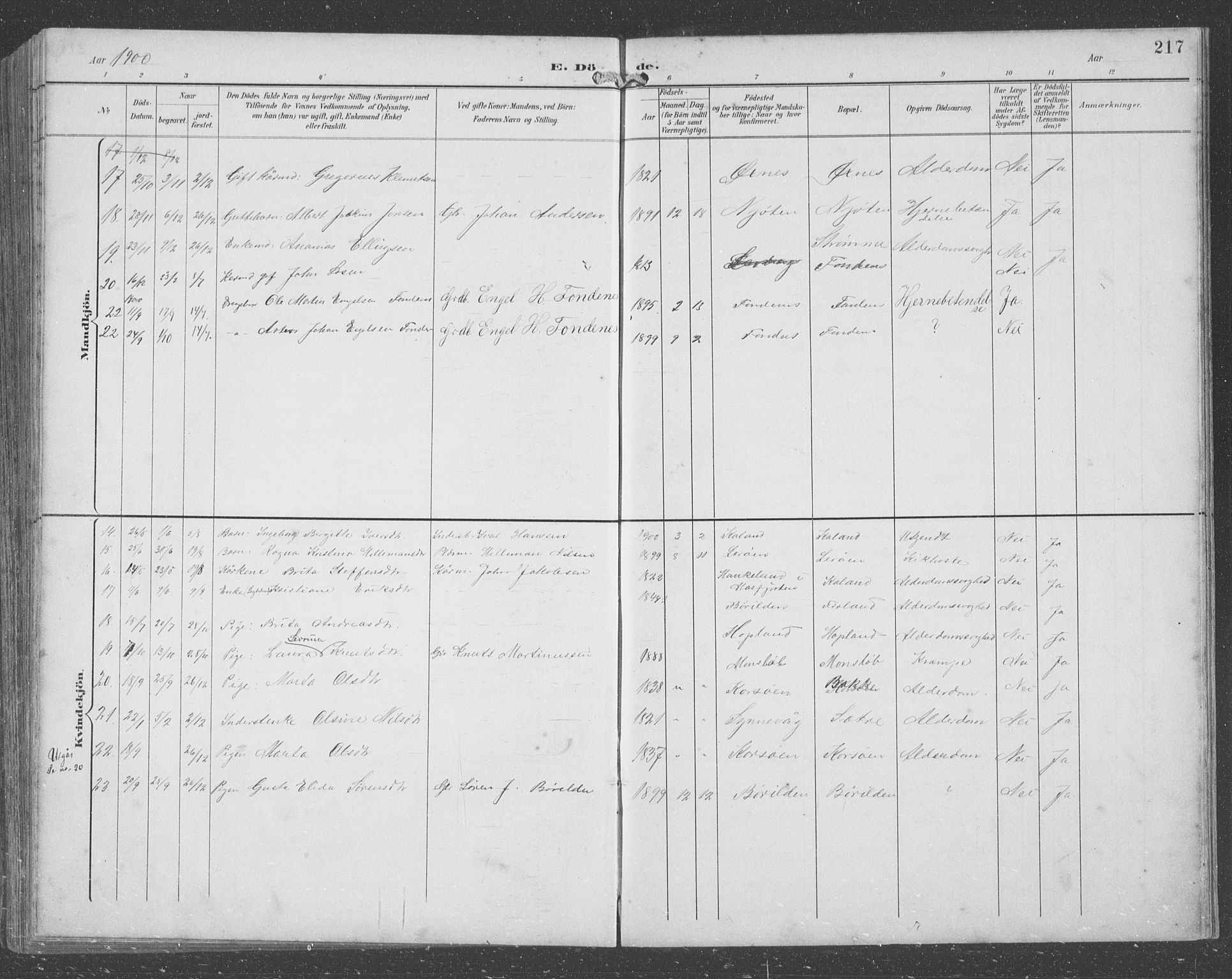 Lindås Sokneprestembete, SAB/A-76701/H/Hab: Parish register (copy) no. C 4, 1894-1910, p. 217