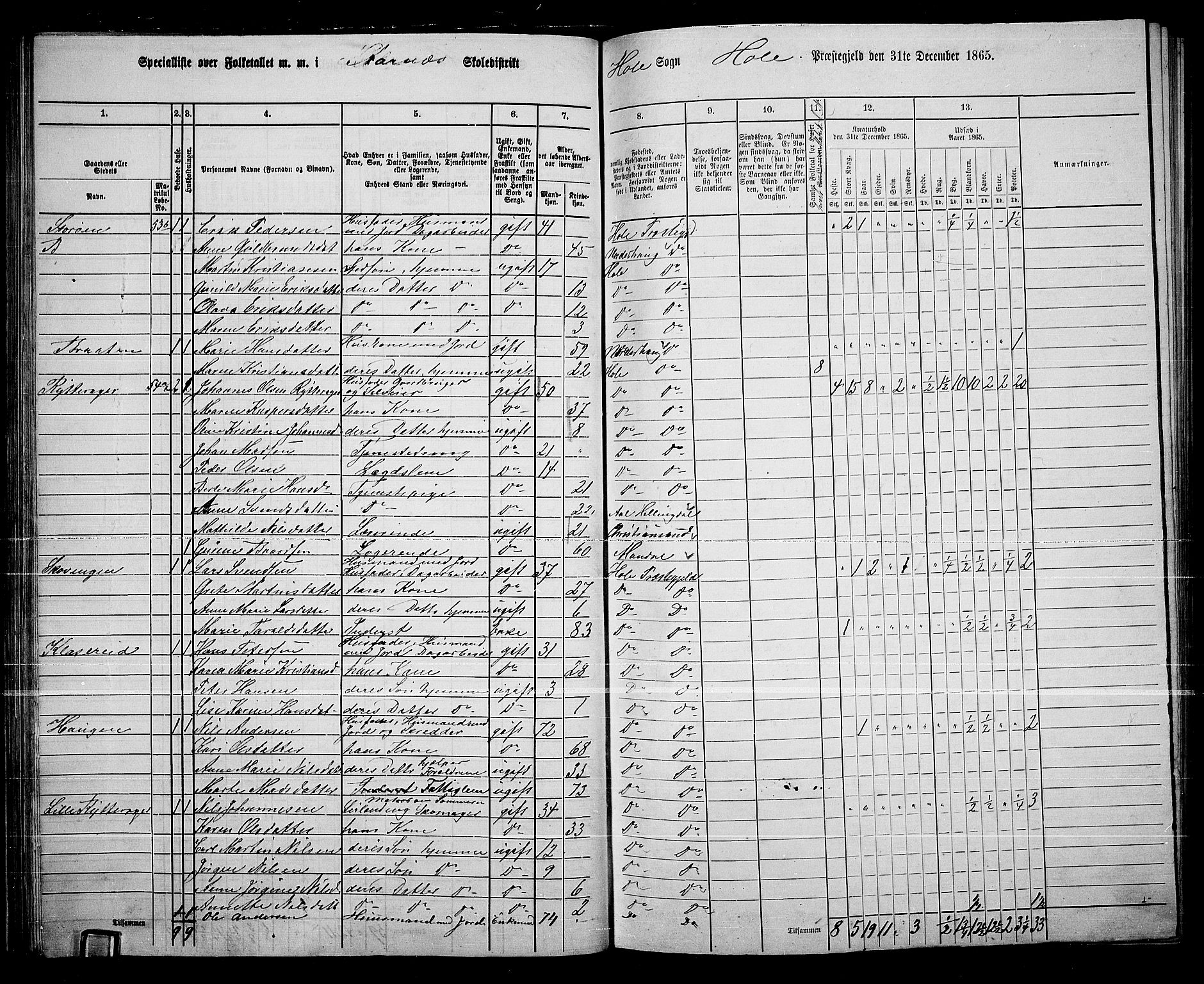 RA, 1865 census for Hole, 1865, p. 47