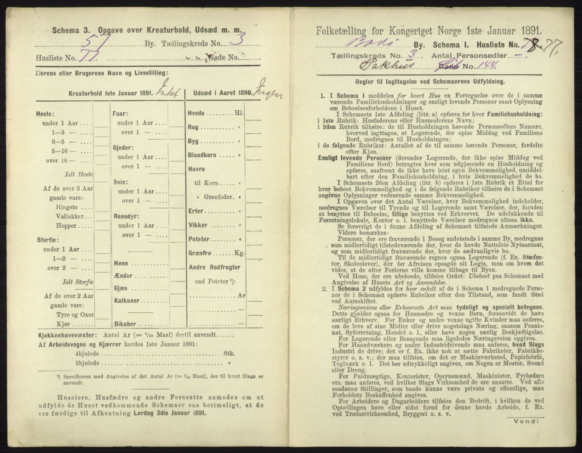 RA, 1891 census for 1804 Bodø, 1891, p. 2007