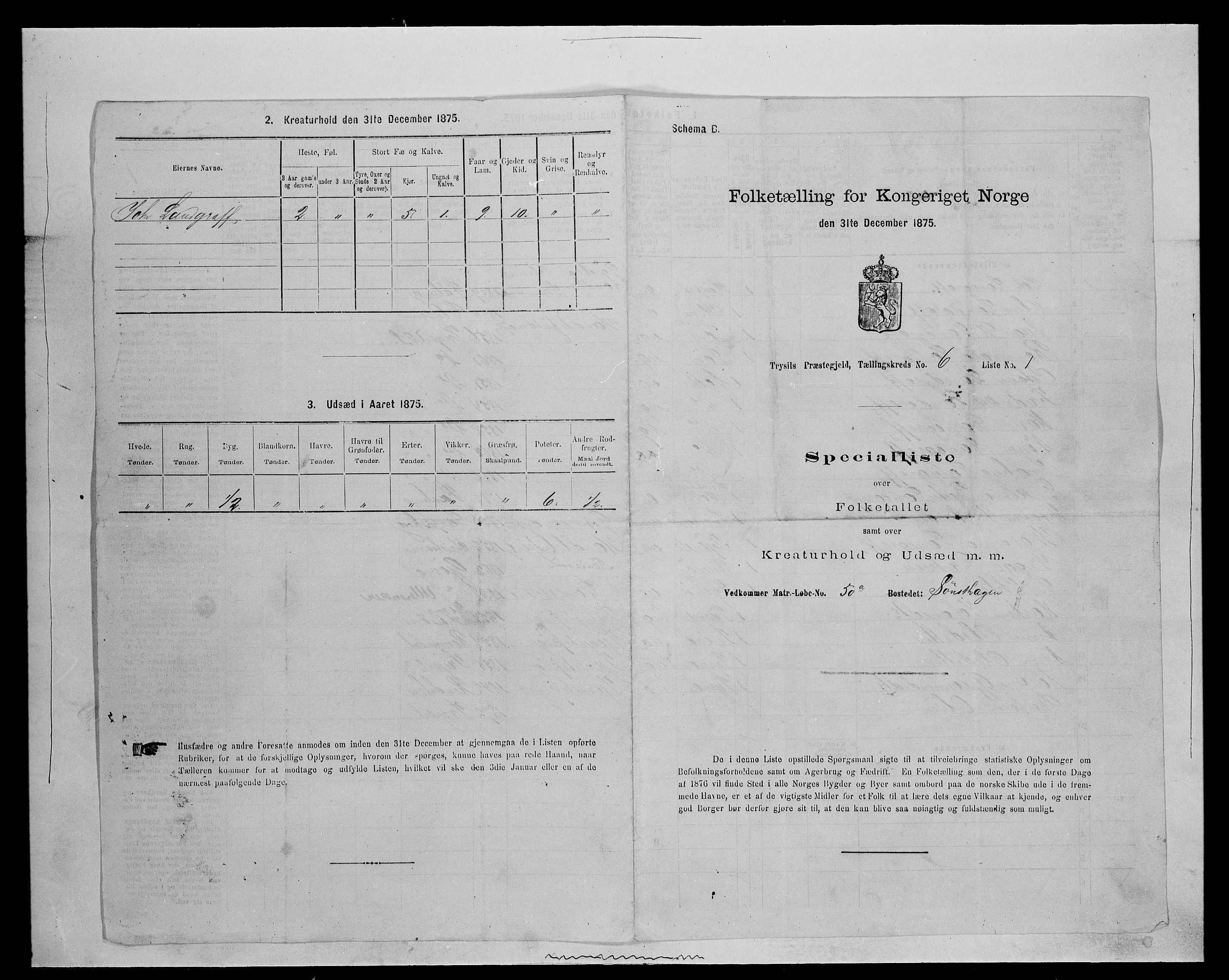 SAH, 1875 census for 0428P Trysil, 1875, p. 721