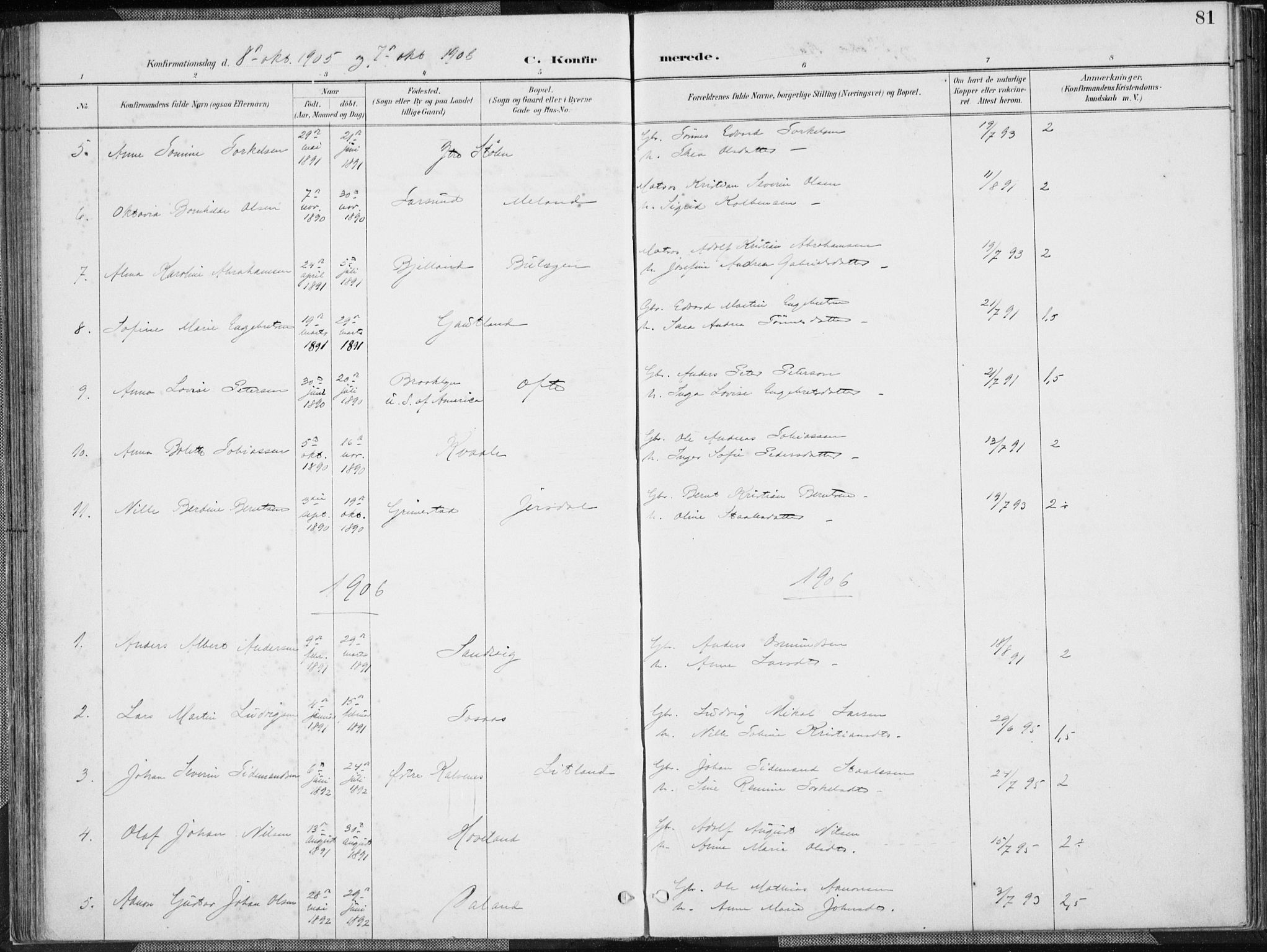 Herad sokneprestkontor, SAK/1111-0018/F/Fa/Faa/L0006: Parish register (official) no. A 6, 1887-1907, p. 81