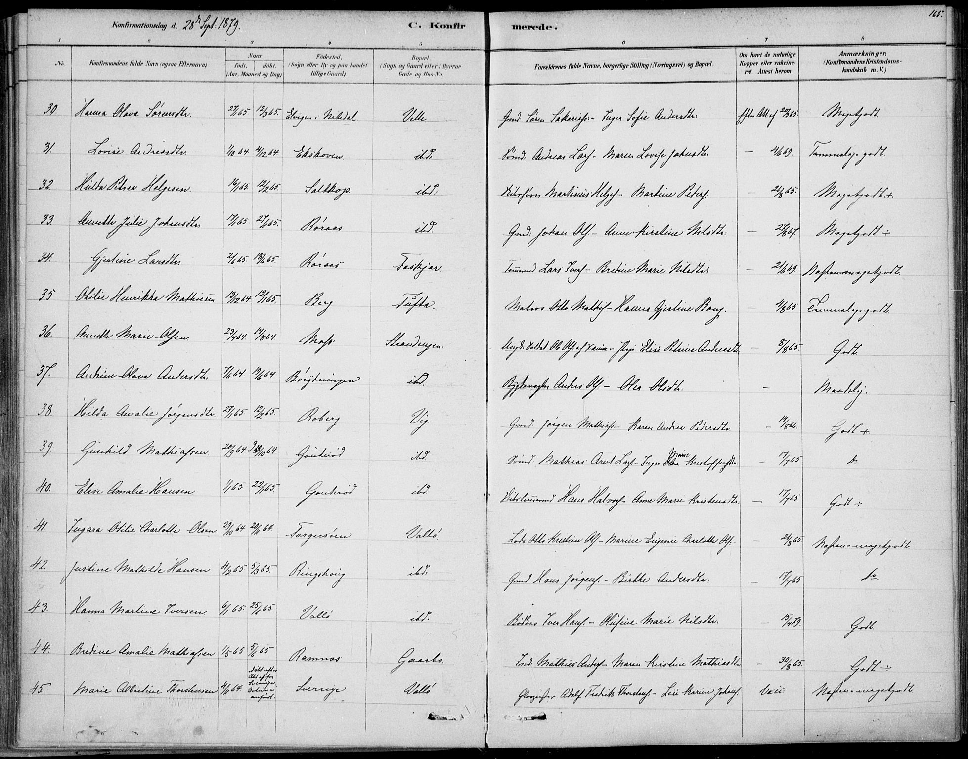 Sem kirkebøker, AV/SAKO-A-5/F/Fb/L0004: Parish register (official) no. II 4, 1878-1891, p. 165