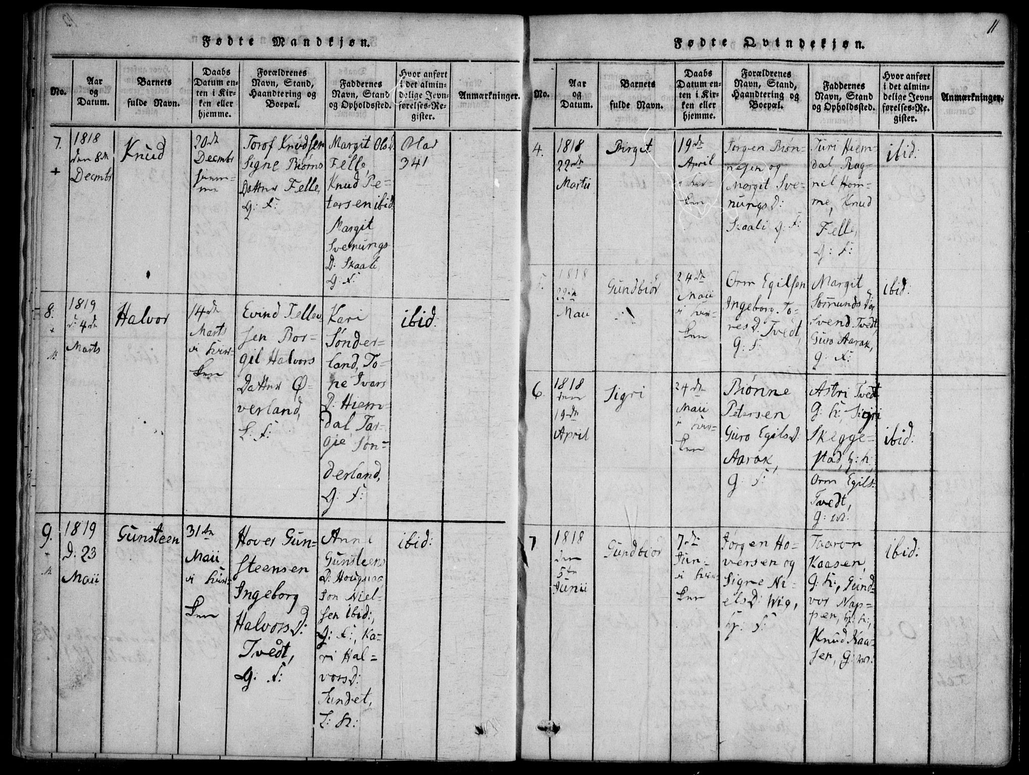 Nissedal kirkebøker, SAKO/A-288/F/Fb/L0001: Parish register (official) no. II 1, 1814-1845, p. 11