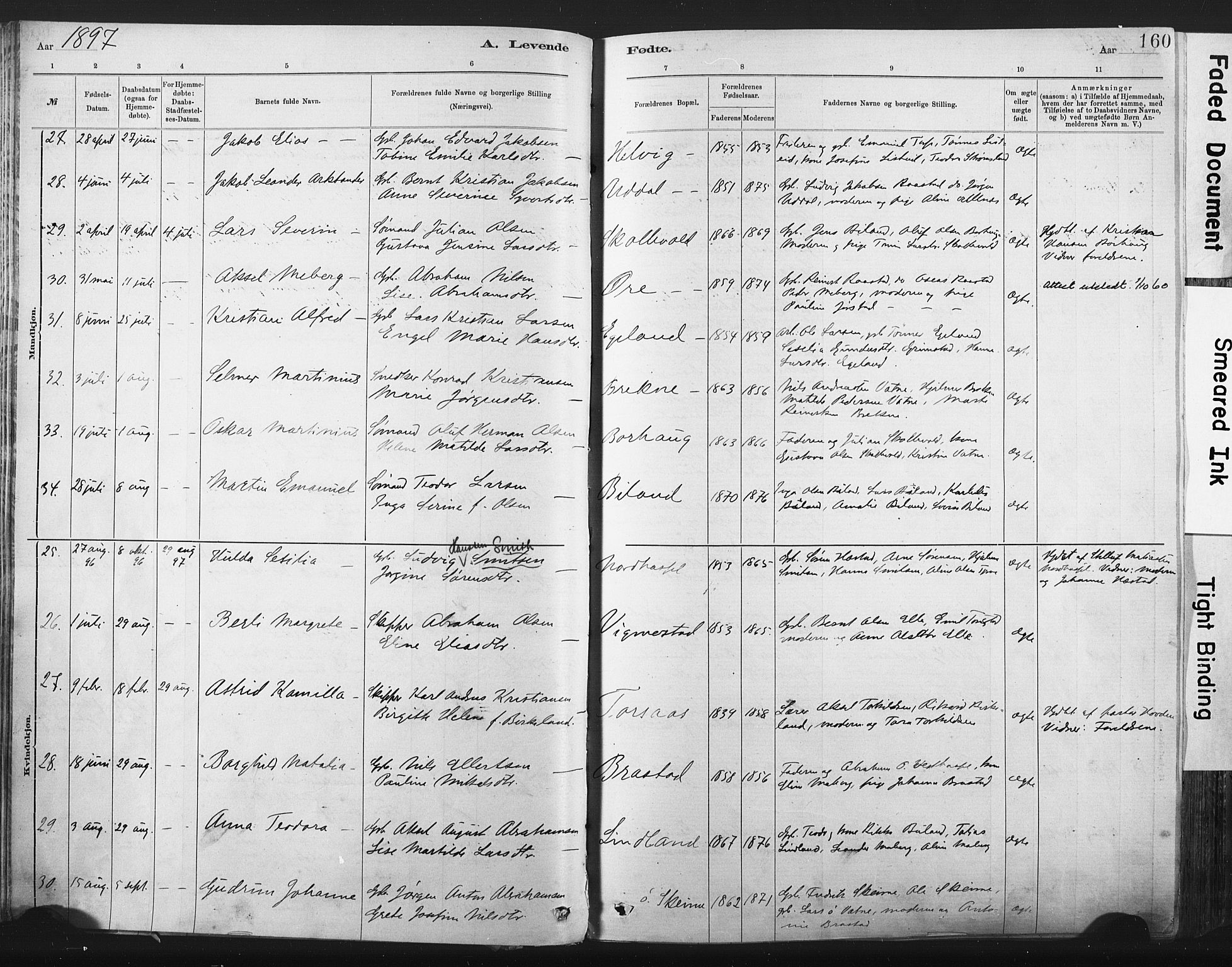 Lista sokneprestkontor, AV/SAK-1111-0027/F/Fa/L0012: Parish register (official) no. A 12, 1879-1903, p. 160