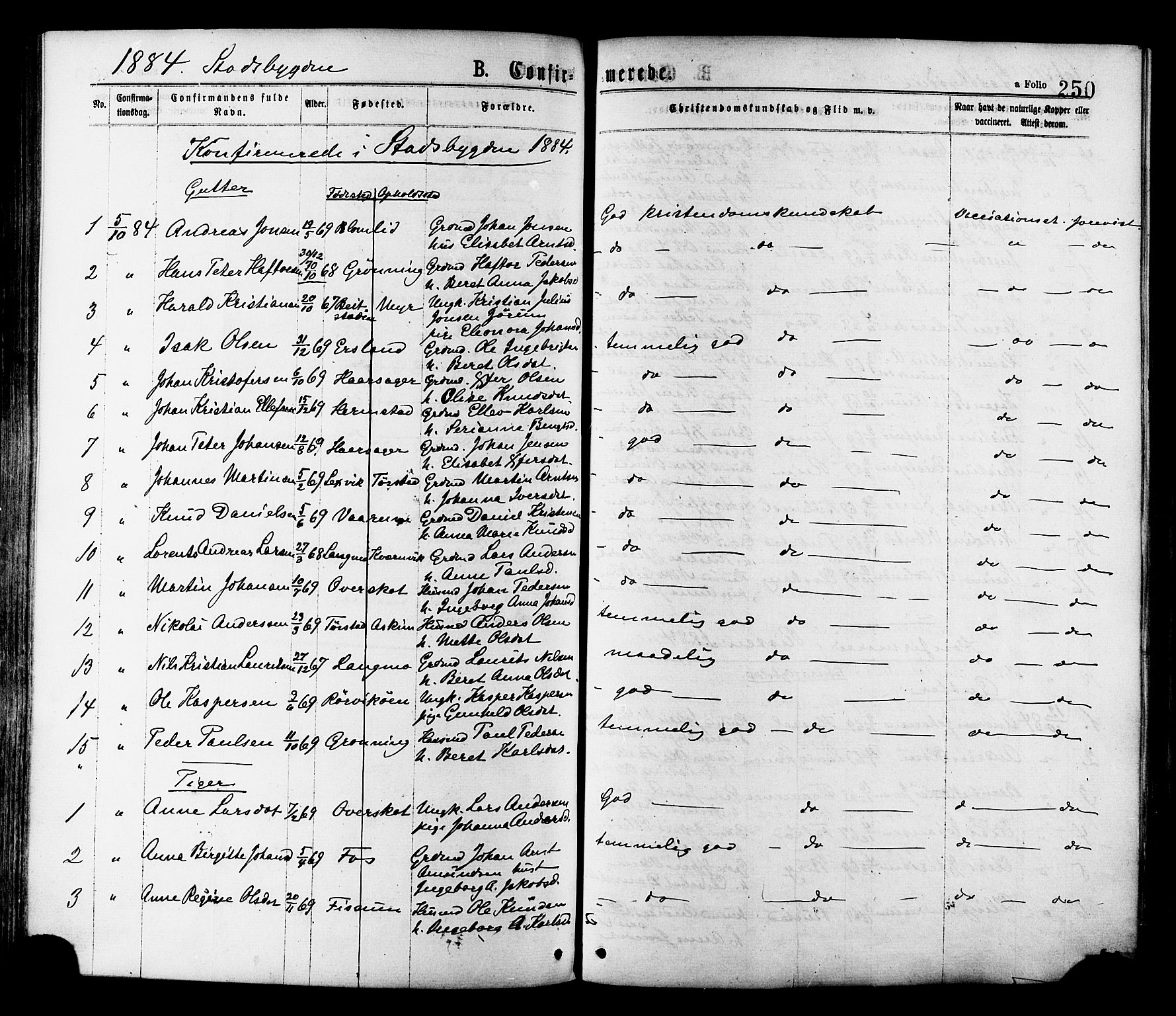 Ministerialprotokoller, klokkerbøker og fødselsregistre - Sør-Trøndelag, SAT/A-1456/646/L0613: Parish register (official) no. 646A11, 1870-1884, p. 250