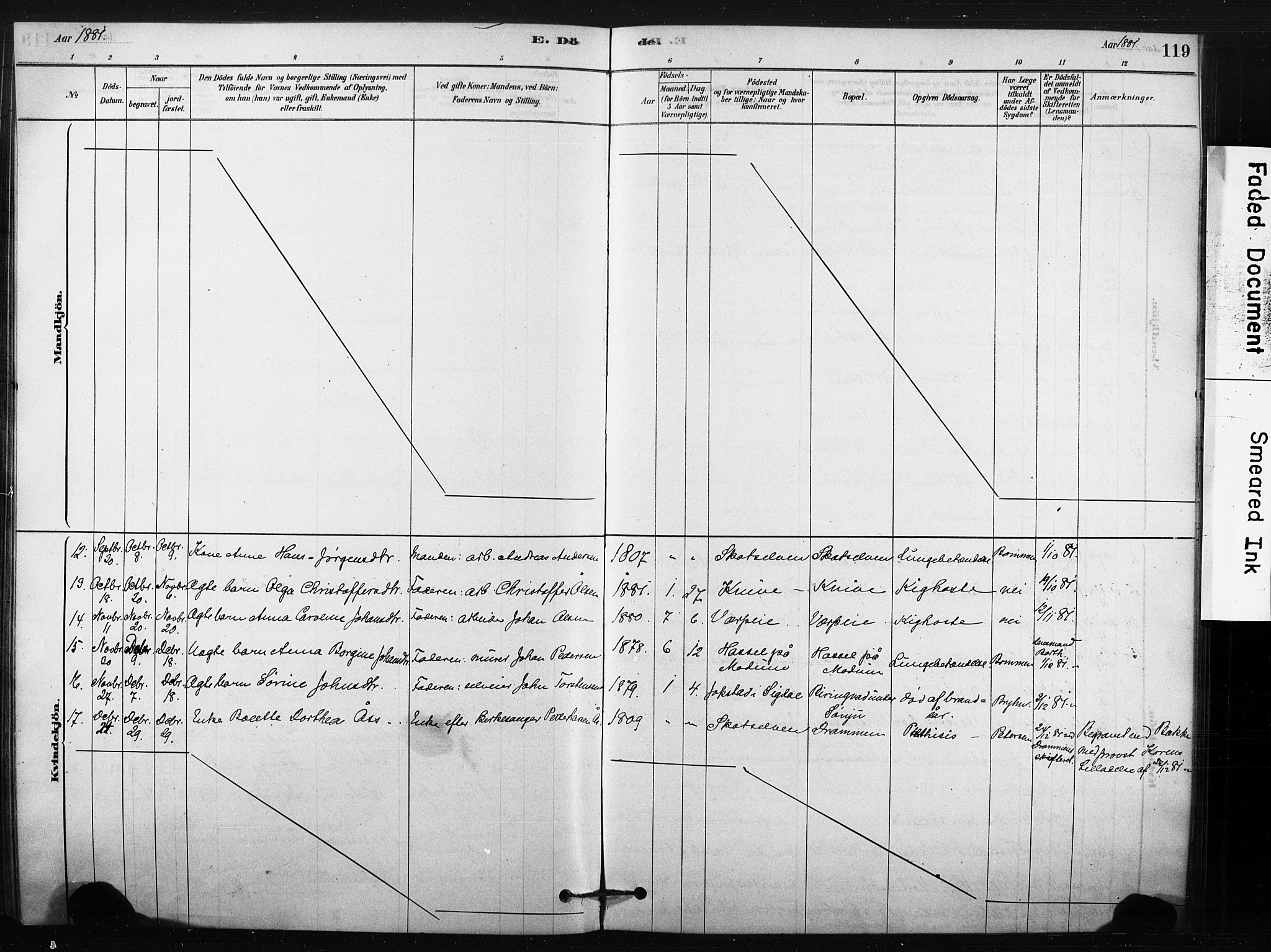 Eiker kirkebøker, AV/SAKO-A-4/F/Fc/L0001: Parish register (official) no. III 1, 1878-1889, p. 119