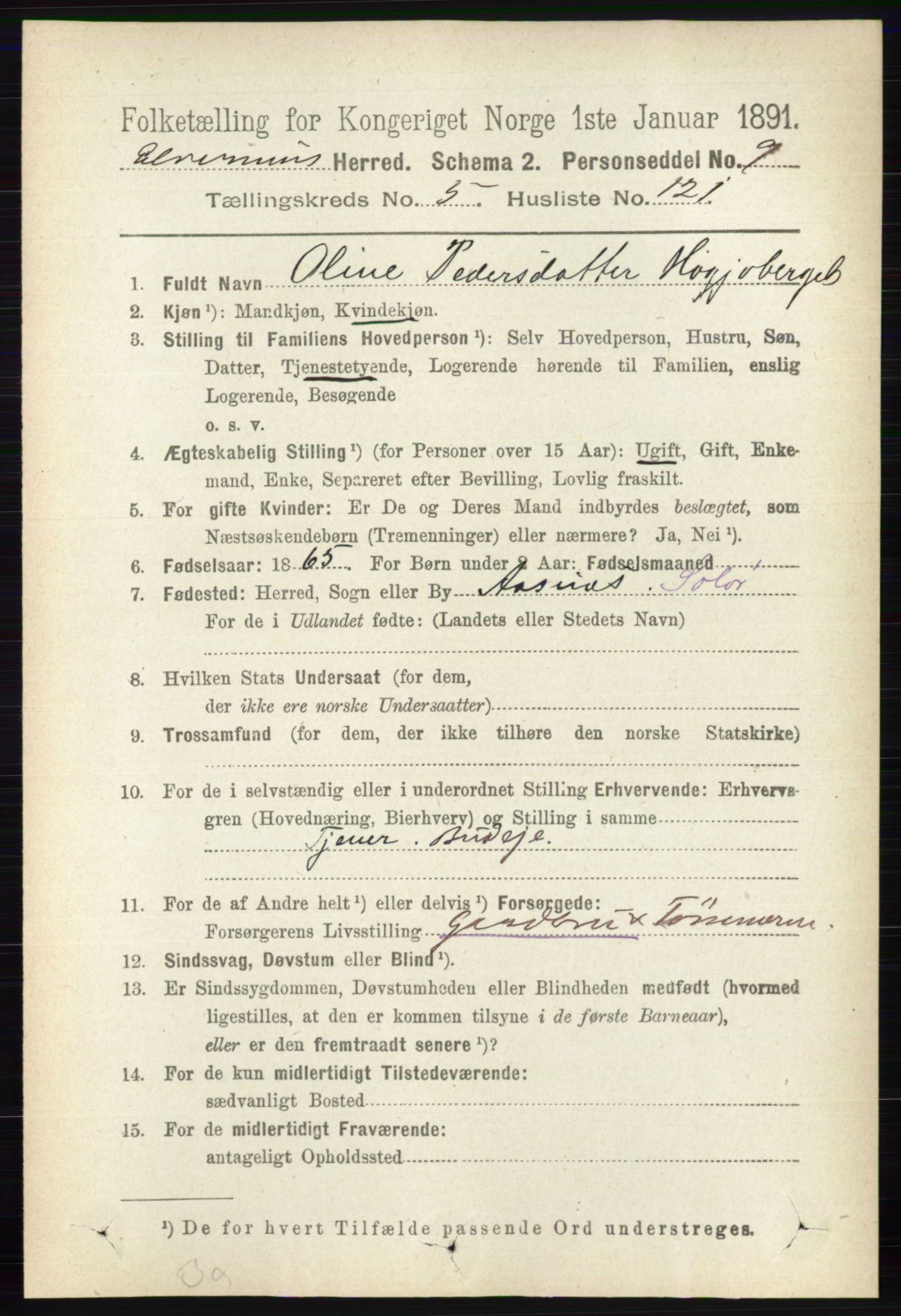 RA, 1891 census for 0427 Elverum, 1891, p. 3986