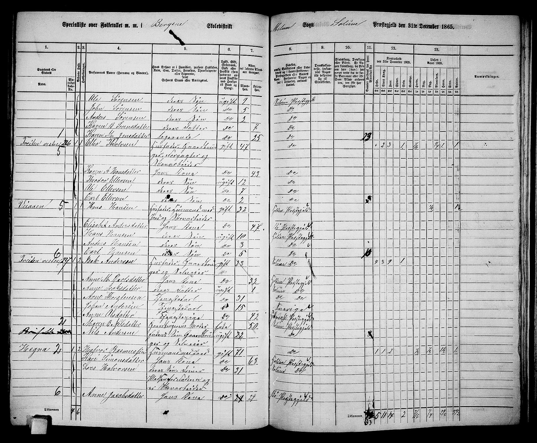 RA, 1865 census for Solum, 1865, p. 183