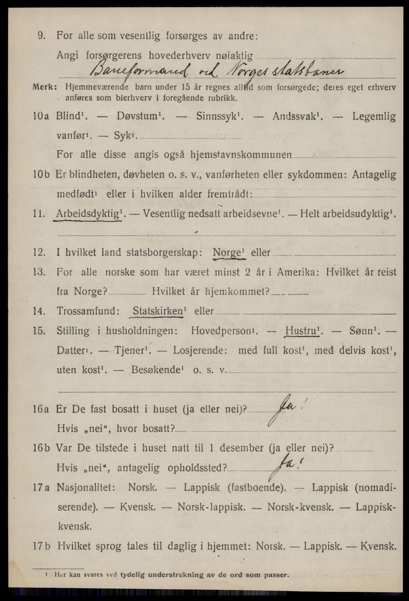 SAT, 1920 census for Røros, 1920, p. 12247