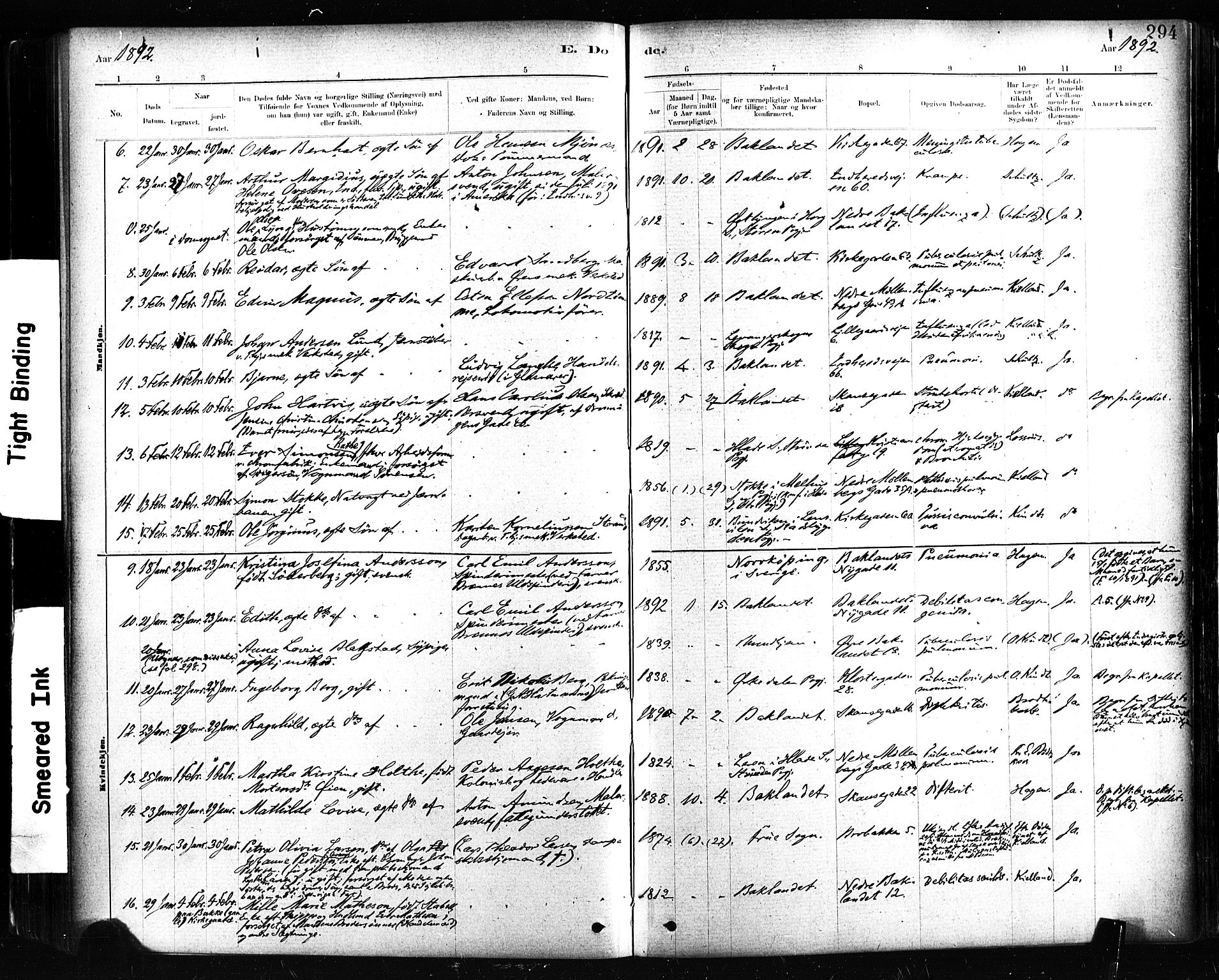 Ministerialprotokoller, klokkerbøker og fødselsregistre - Sør-Trøndelag, SAT/A-1456/604/L0189: Parish register (official) no. 604A10, 1878-1892, p. 294